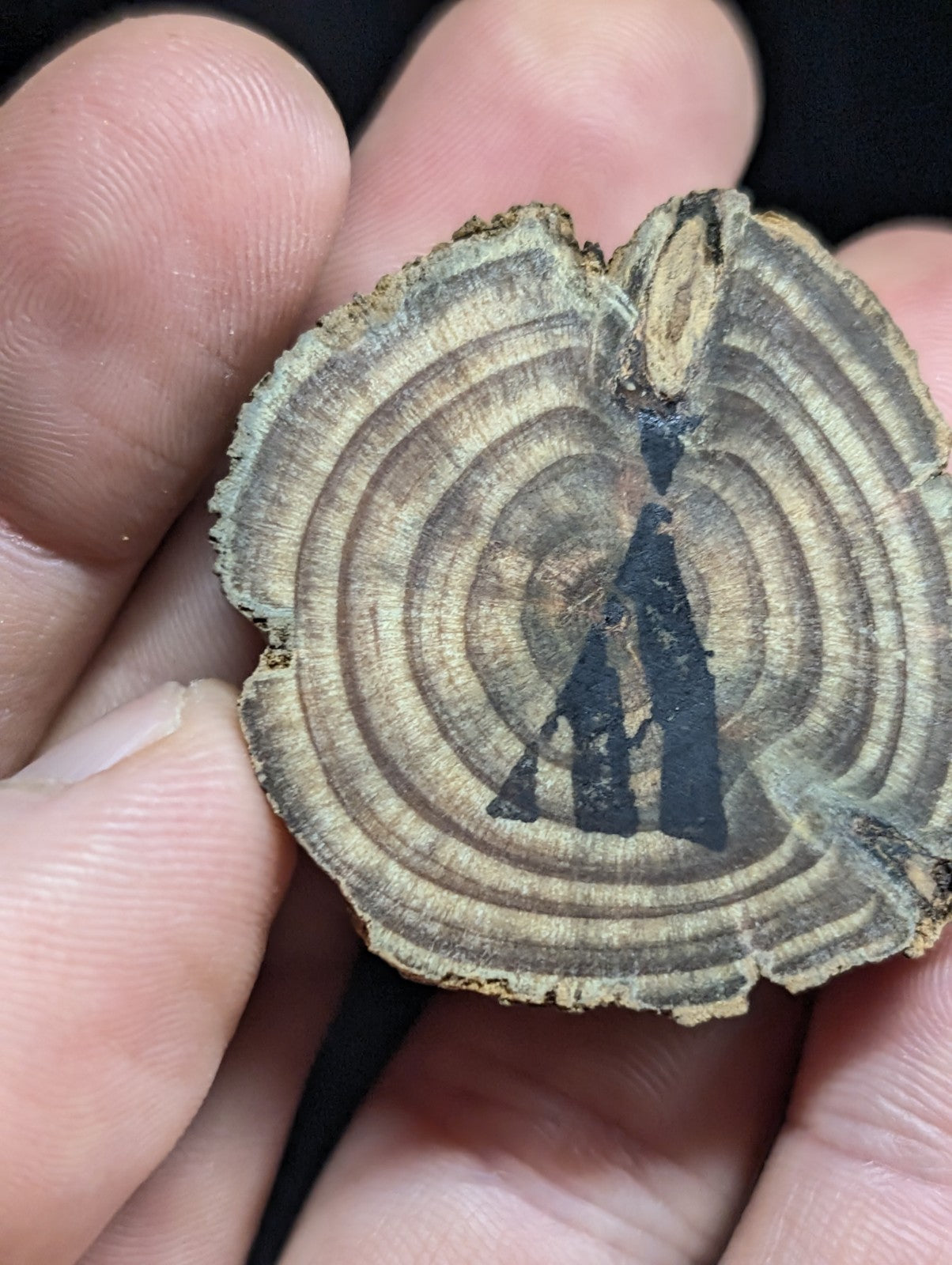 Phantom Quartz Crystal Point, Old Stock, Montgomery County, Arkansas, w/ base