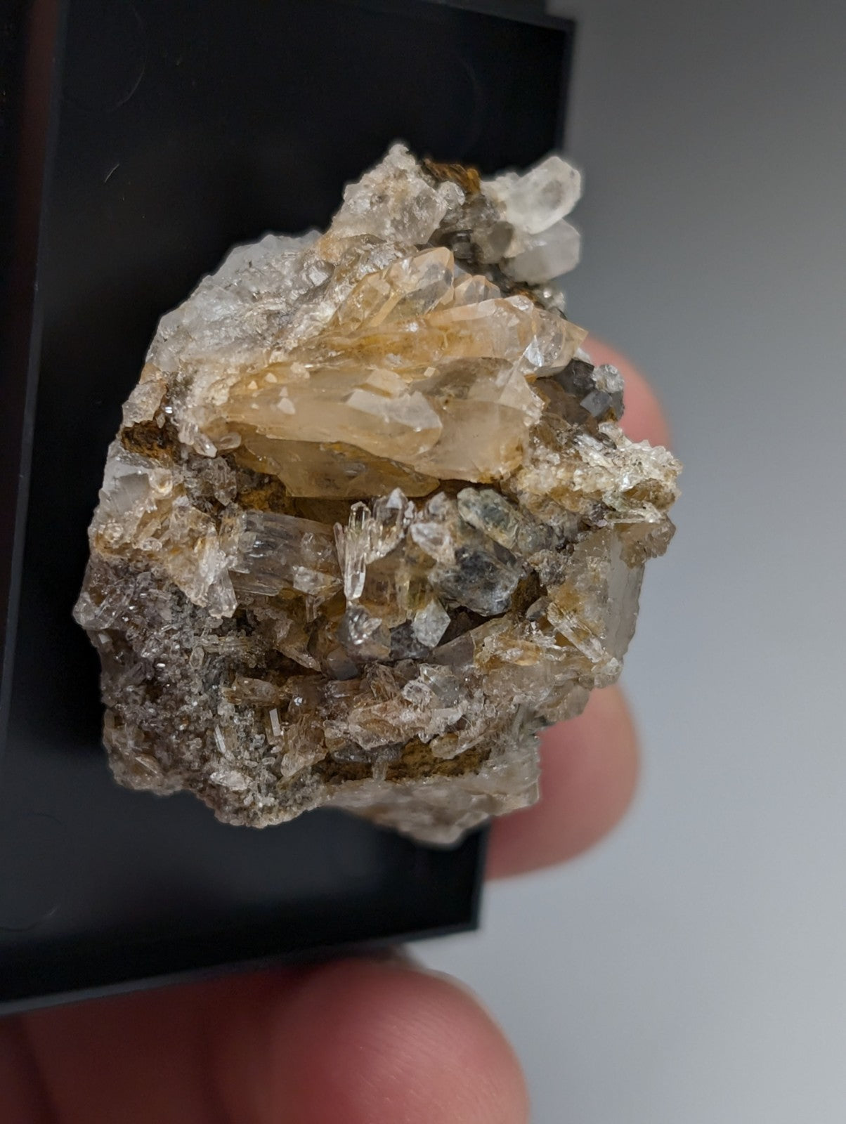Quartz Crystal Cluster, w/ photo case/mount, Saline County, Arkansas, Old Stock
