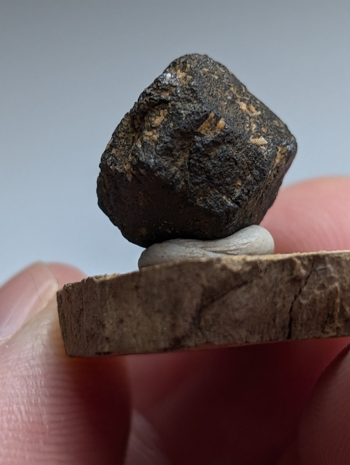Magnetite crystal, Magnet Cove, Hot Spring County, Arkansas, USA, Old Stock