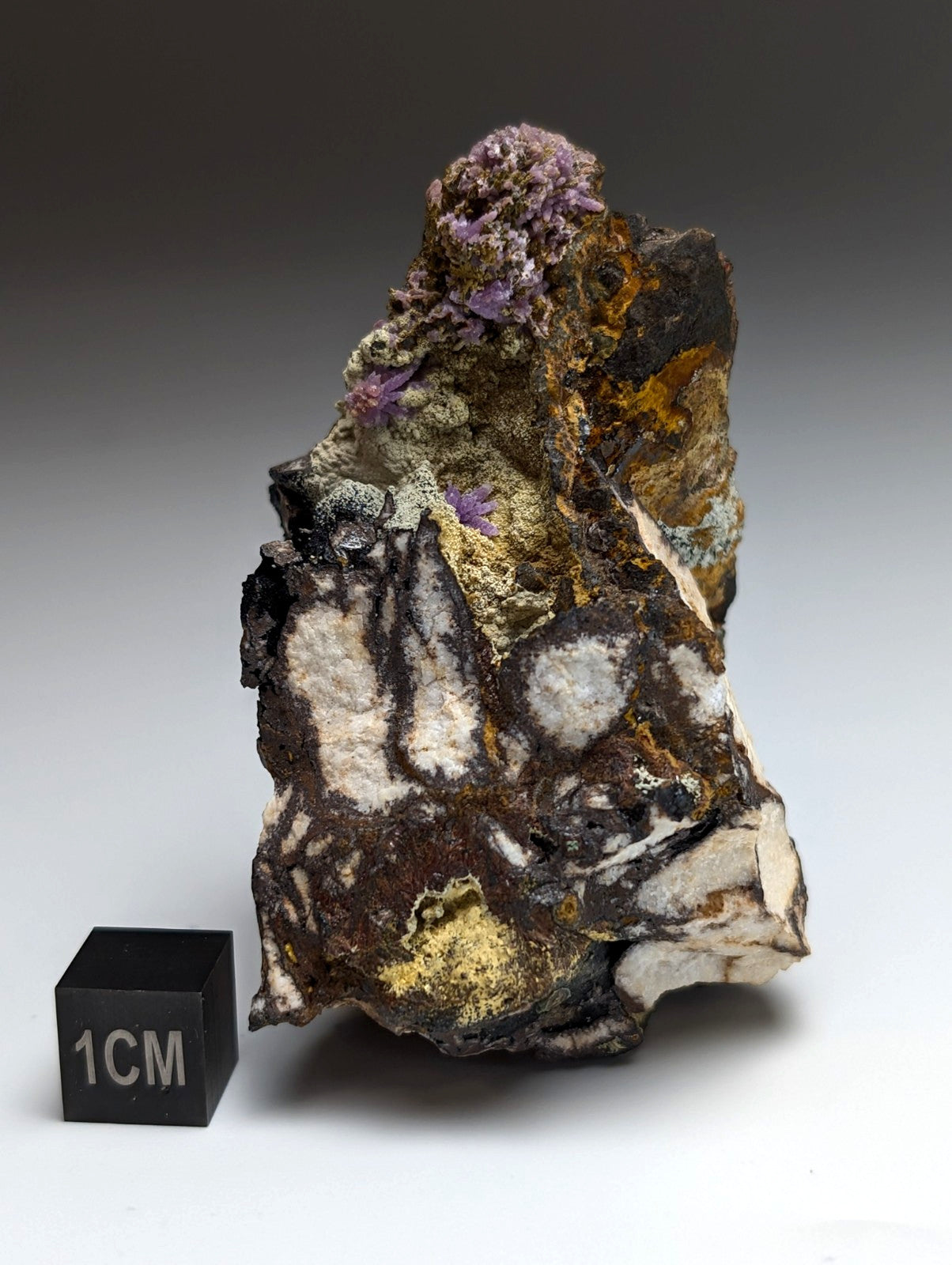 Super Rare Strengite + Kidwellite, etc, Coon Creek Mine, Polk Co, Arkansas, A+++