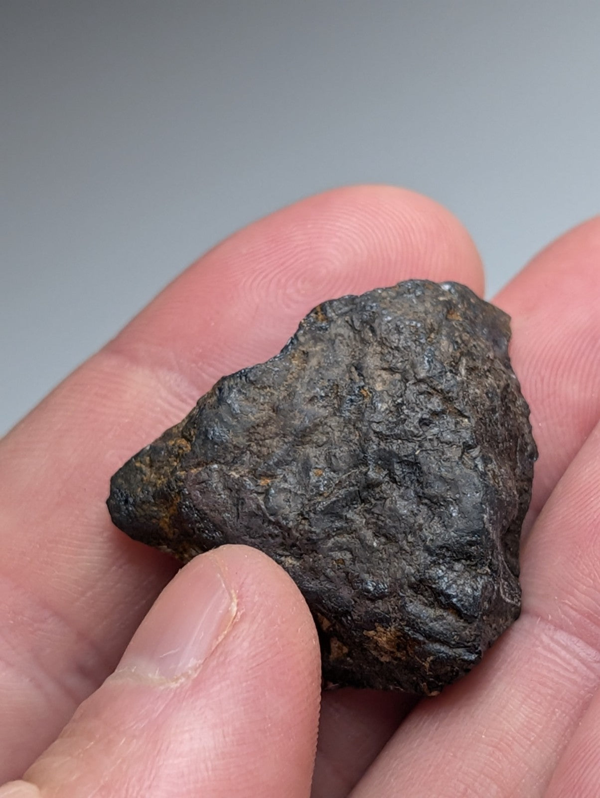 Magnetite (Lodestone), Magnet Cove, Arkansas, Old Stock, natural magnet