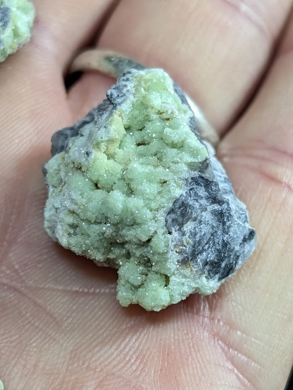 OOAK set of 5 Wavellite specimens - Old Stock - Mauldin Mountain, Arkansas
