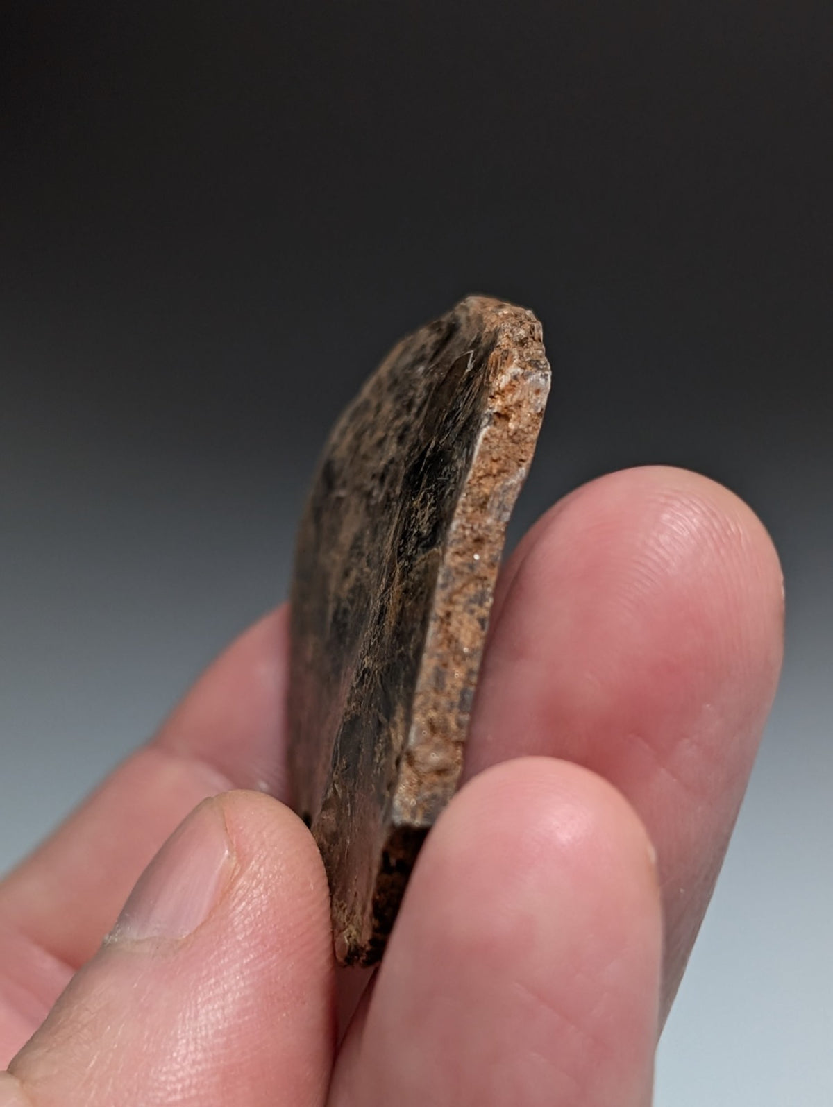 Green/Brown Mica, Magnet Cove, Hot Spring County, Arkansas, USA,Ex Henry Delinde