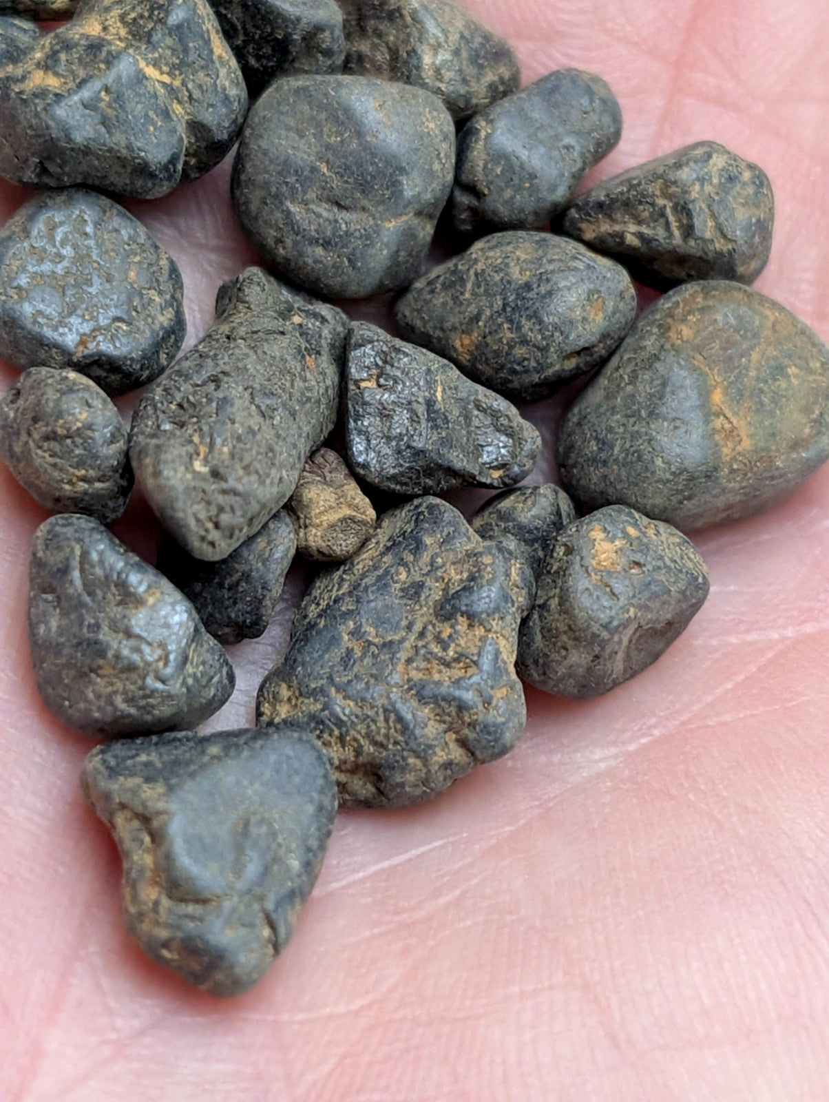 Very Rare, Placer Rutile, Arkansas, Magnet Cove, Old Stock,ex Delinde, set of 20