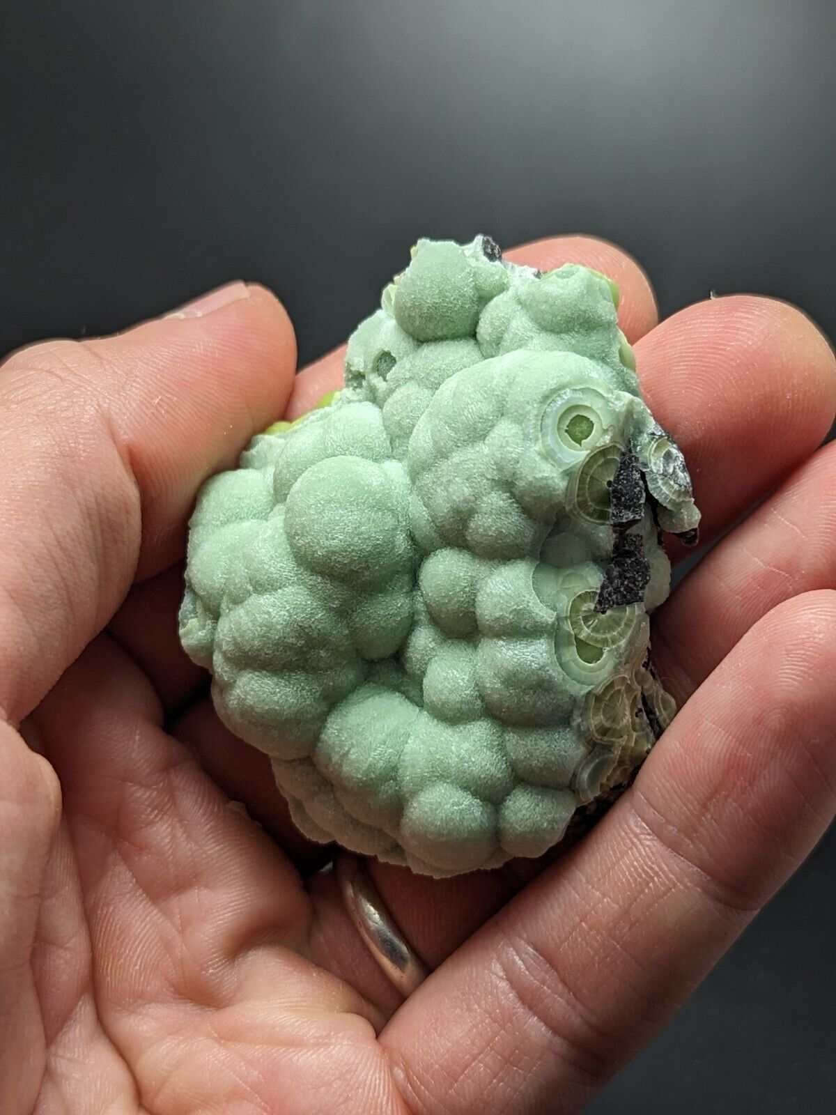 A + Amazing Wavellite - Fantastic Old Stock - Mauldin Mountain Arkansas ooak - Collectibles:Rocks Fossils &