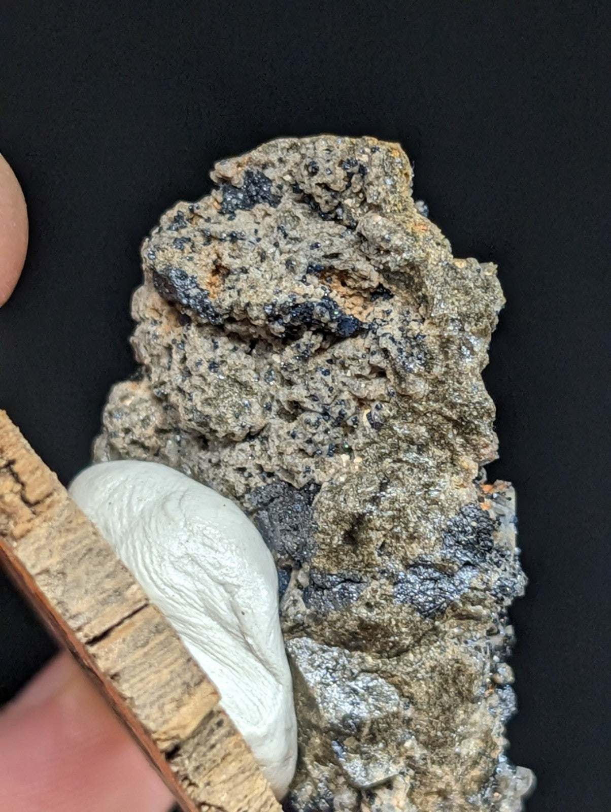A rough, grayish rock specimen with dark blue-black mineral inclusions and a white, waxy-looking material nestled against its base.