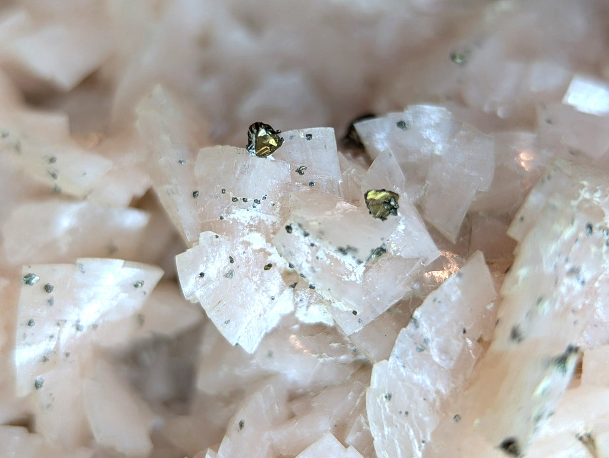 Pink quartz crystals with embedded metallic gold flecks.