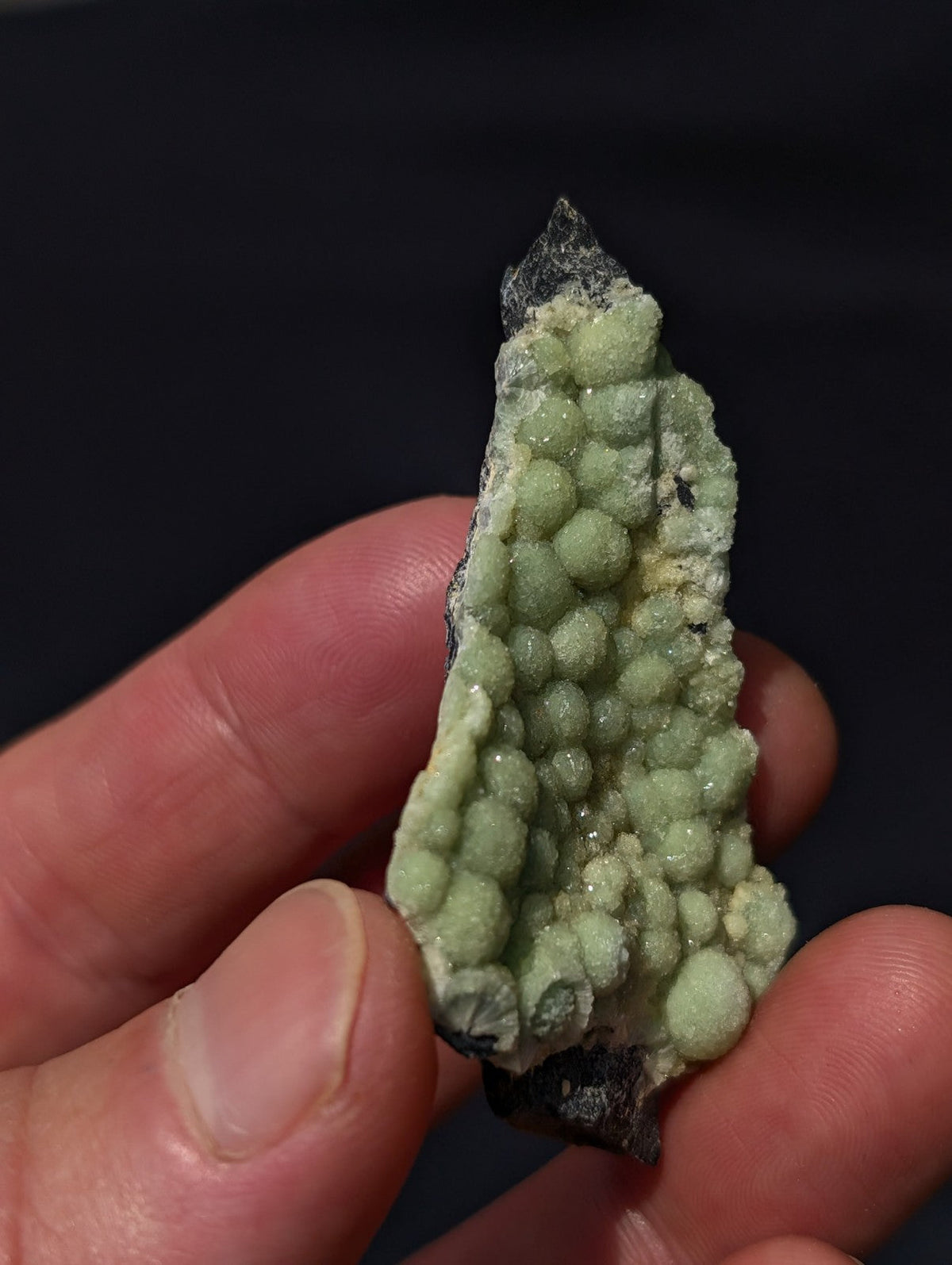 A hand holds a mineral specimen featuring clusters of pale green, spherical crystals growing from a dark gray matrix.