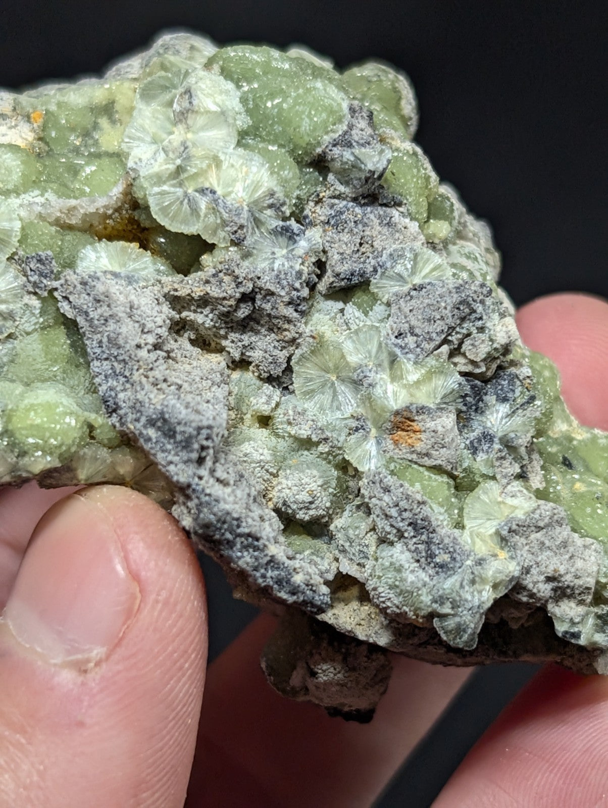 A hand holds a green and gray mineral specimen featuring translucent, star-shaped crystals embedded in a rough-textured matrix.