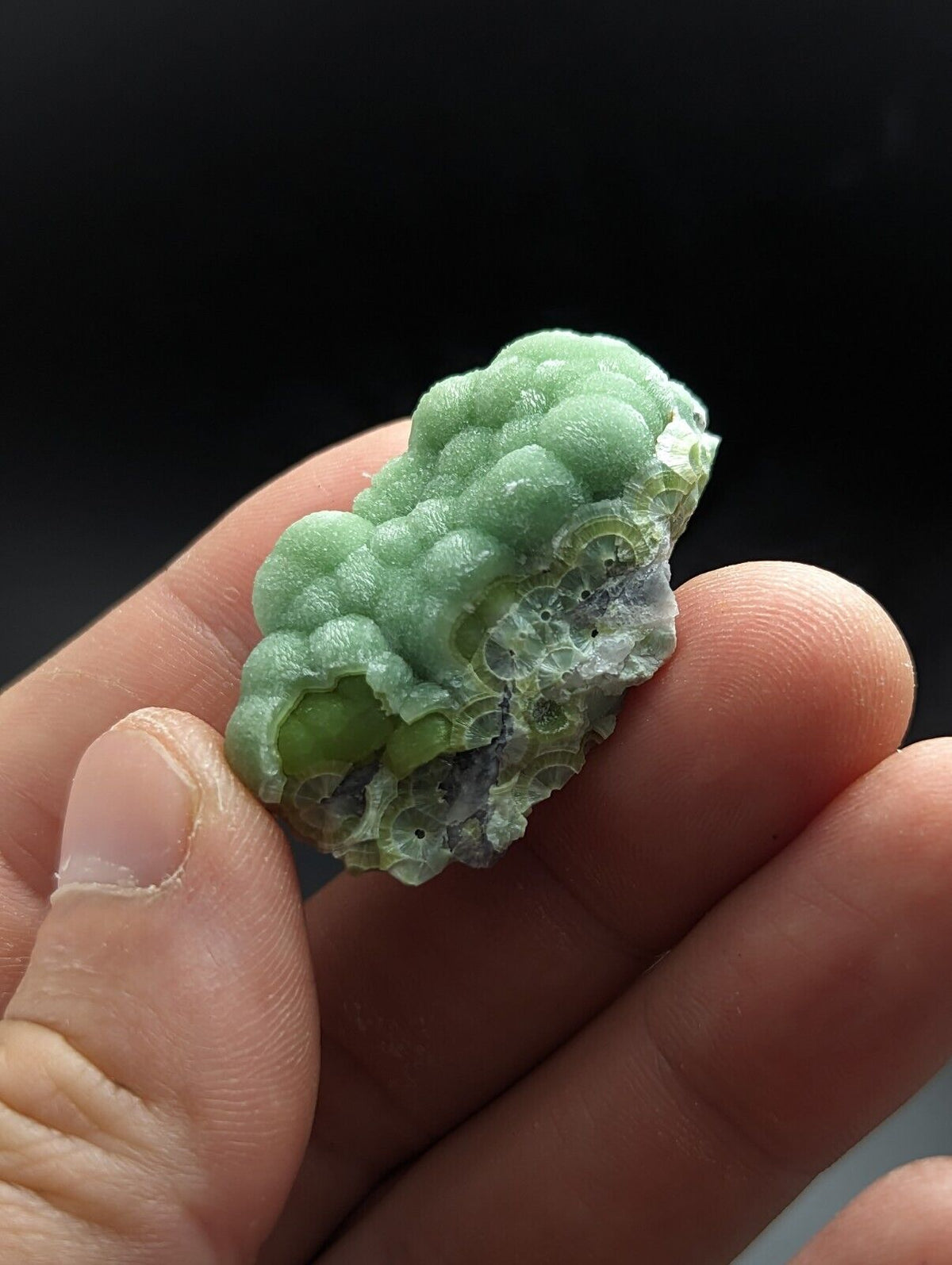 A + Green Wavellite on Quartz - Fantastic Old Stock - Mauldin Mountain Arkansas - Collectibles:Rocks Fossils &