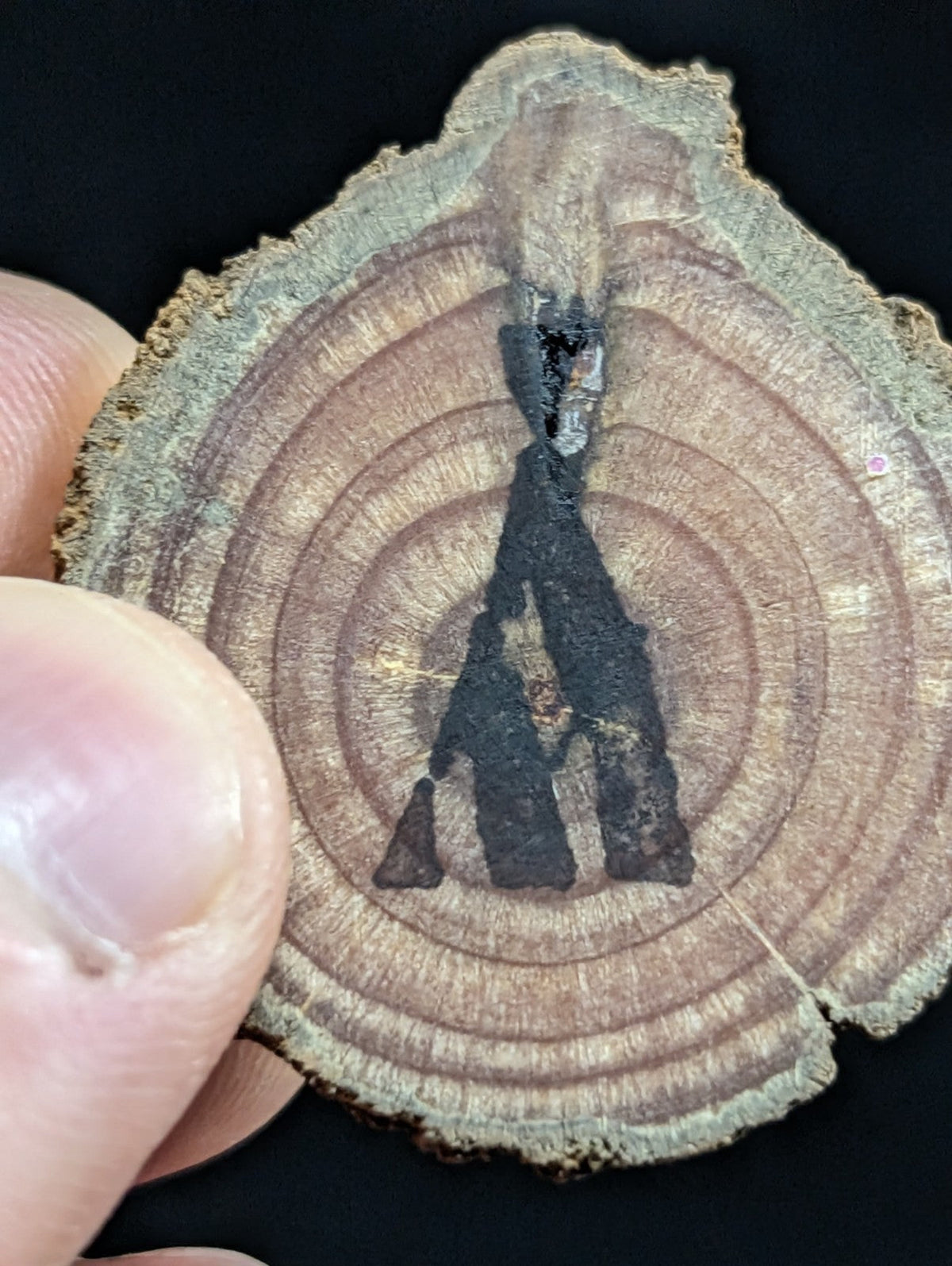 A rustic, circular wood slice with natural grain and a dark charcoal-colored carved letter ’a’ at its center.