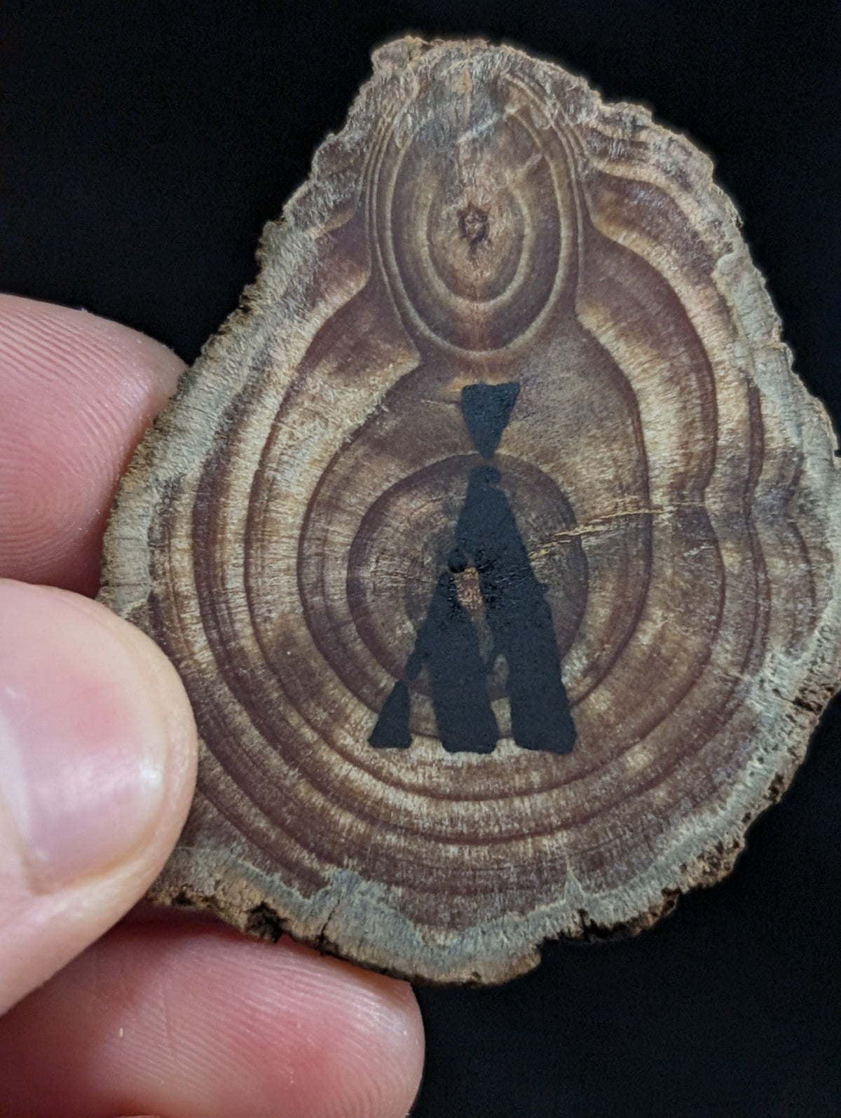 A rustic circular wooden slice with natural brown rings and a black silhouette alongside a tabby quartz crystal cluster