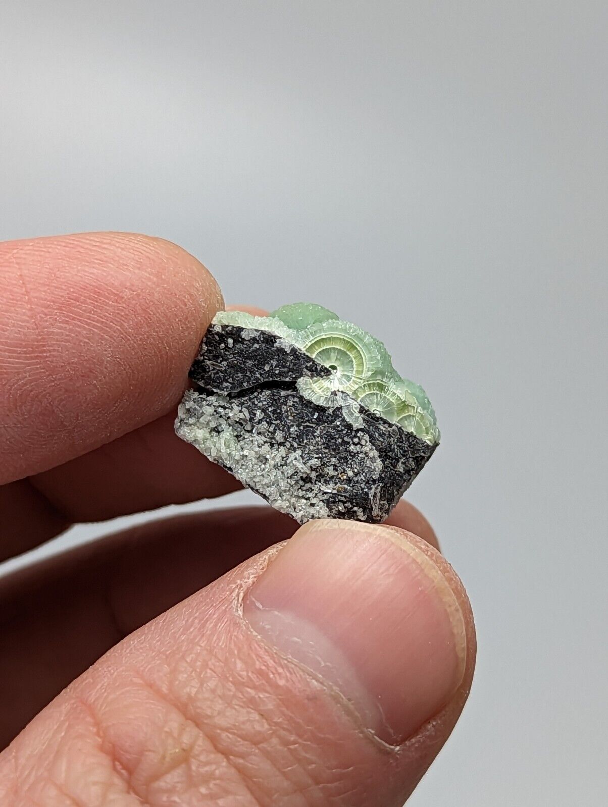 A + Wavellite - Fantastic 1990s Old Stock - Mauldin Mountain Arkansas - Collectibles:Rocks Fossils & Minerals:Crystals