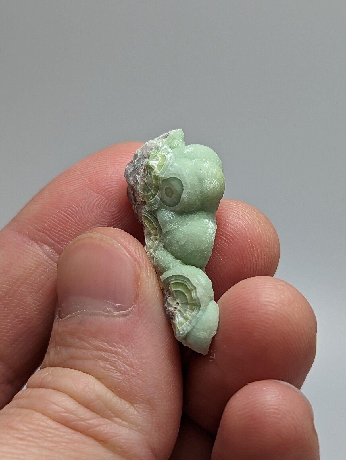 A + Wavellite - Fantastic 1990s Old Stock - Mauldin Mountain Arkansas - Collectibles:Rocks Fossils & Minerals:Crystals