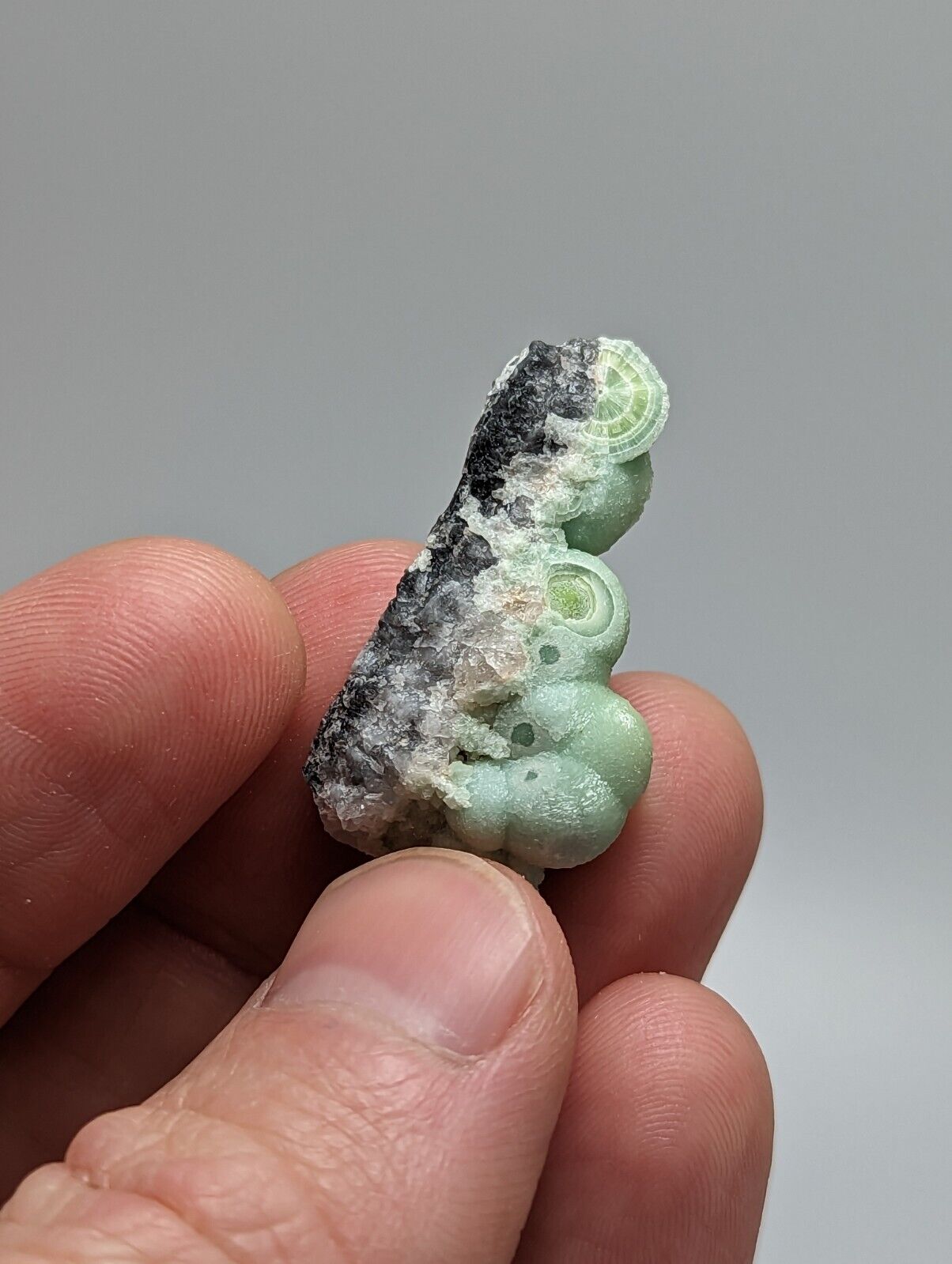 A + Wavellite - Fantastic 1990s Old Stock - Mauldin Mountain Arkansas - Collectibles:Rocks Fossils & Minerals:Crystals