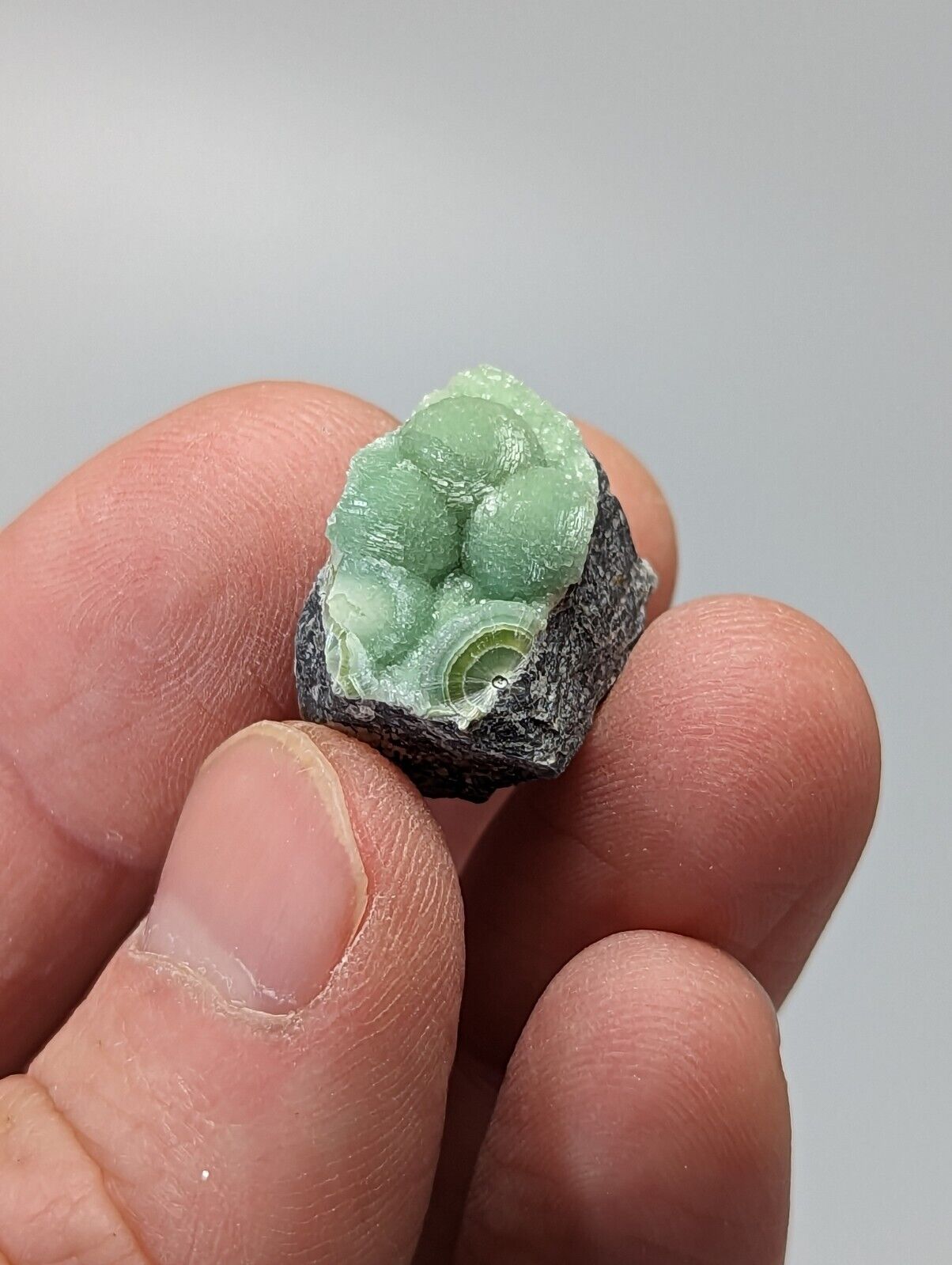 A + Wavellite - Fantastic 1990s Old Stock - Mauldin Mountain Arkansas - Collectibles:Rocks Fossils & Minerals:Crystals