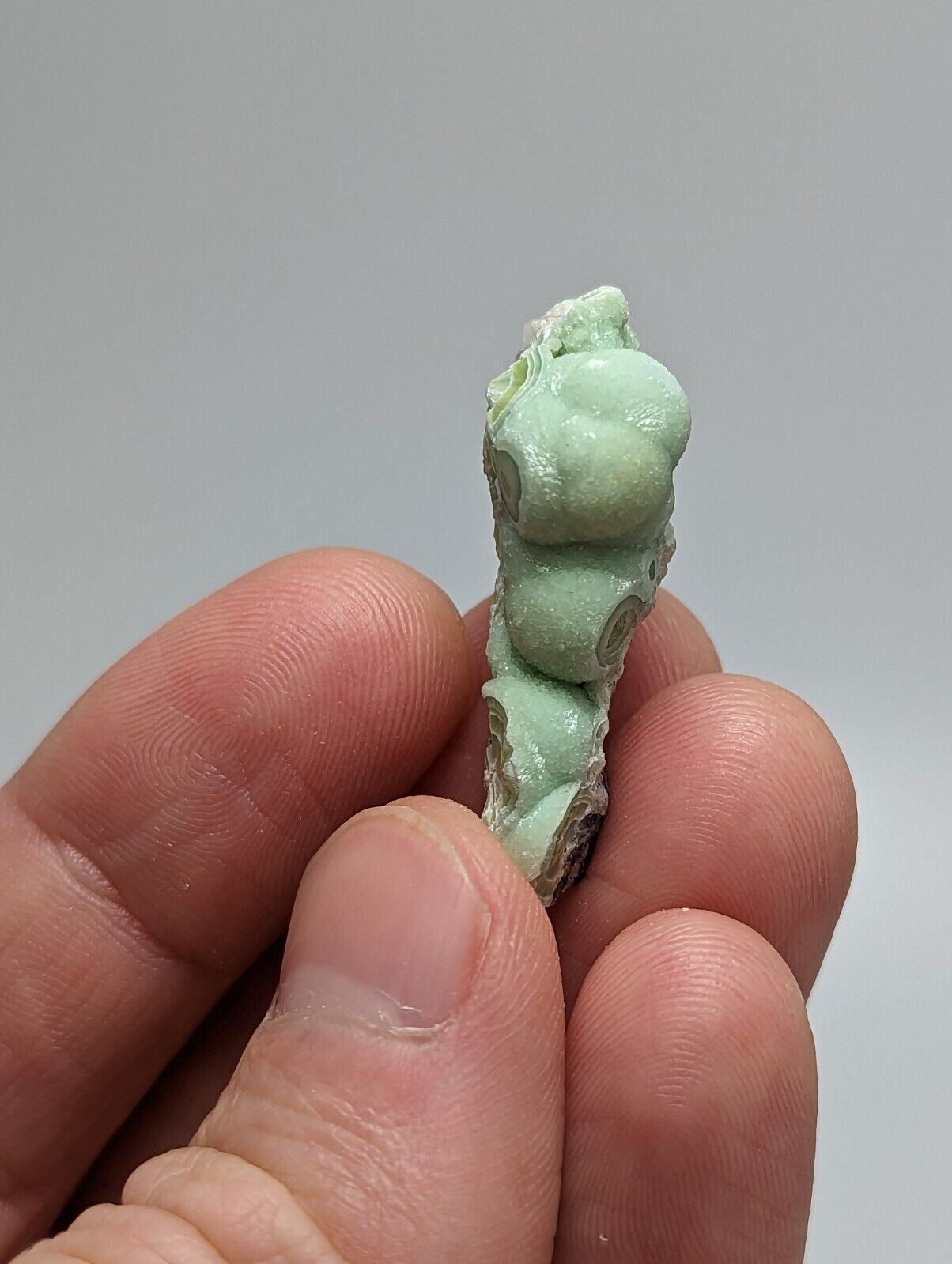 A + Wavellite - Fantastic 1990s Old Stock - Mauldin Mountain Arkansas - Collectibles:Rocks Fossils & Minerals:Crystals