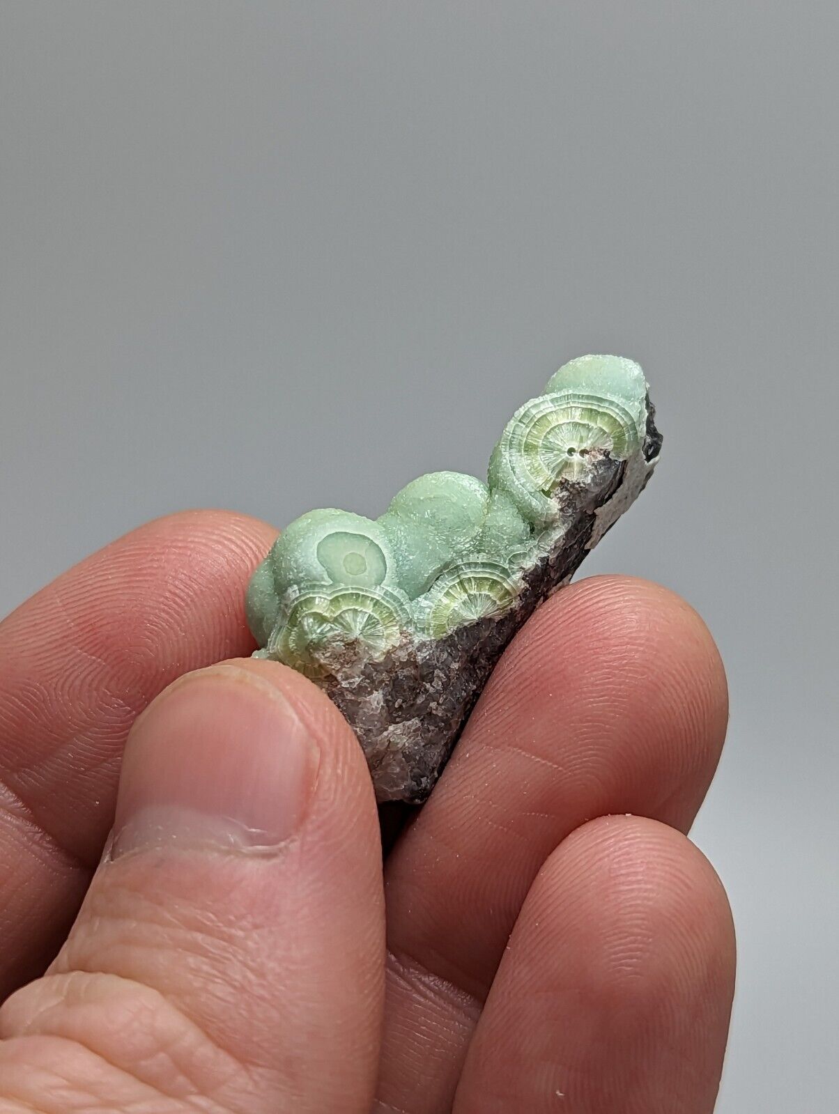 A + Wavellite - Fantastic 1990s Old Stock - Mauldin Mountain Arkansas - Collectibles:Rocks Fossils & Minerals:Crystals