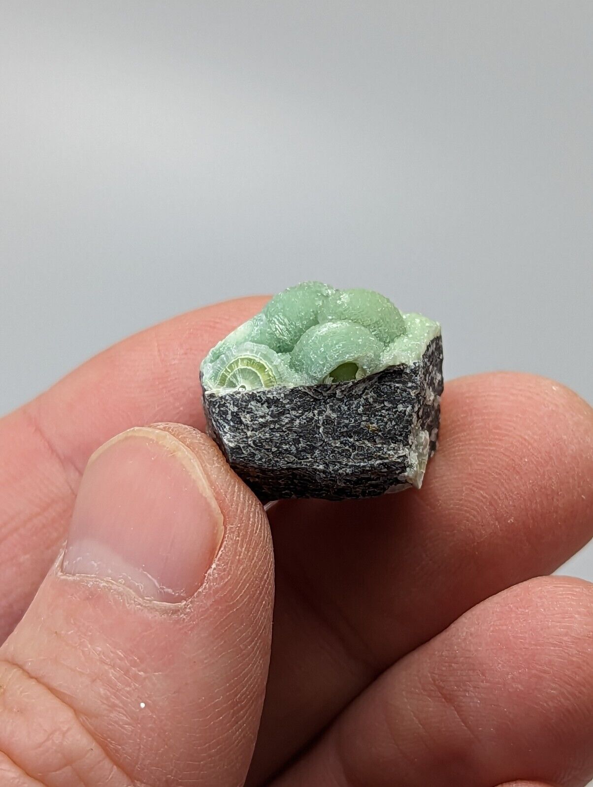 A + Wavellite - Fantastic 1990s Old Stock - Mauldin Mountain Arkansas - Collectibles:Rocks Fossils & Minerals:Crystals