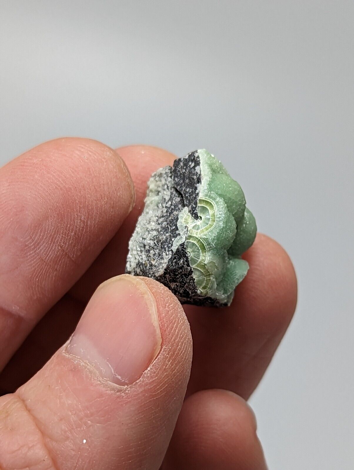 A + Wavellite - Fantastic 1990s Old Stock - Mauldin Mountain Arkansas - Collectibles:Rocks Fossils & Minerals:Crystals