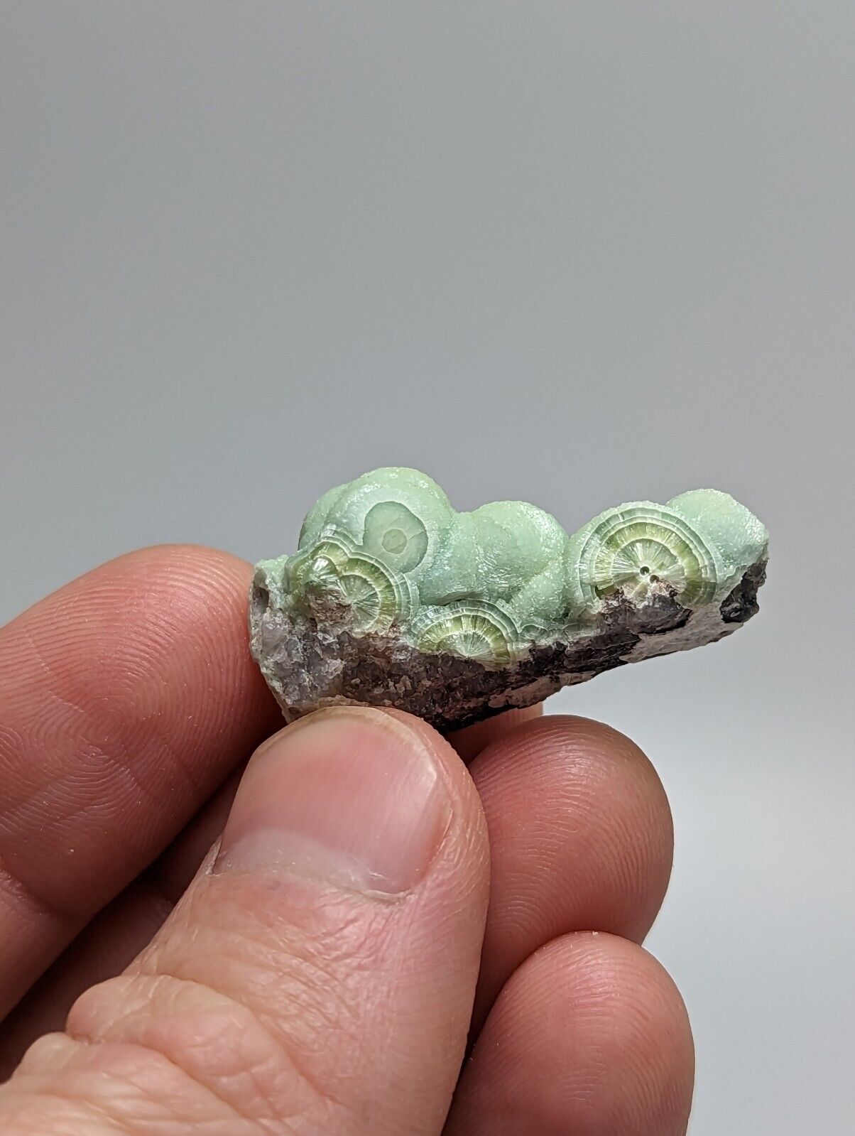 A + Wavellite - Fantastic 1990s Old Stock - Mauldin Mountain Arkansas - Collectibles:Rocks Fossils & Minerals:Crystals