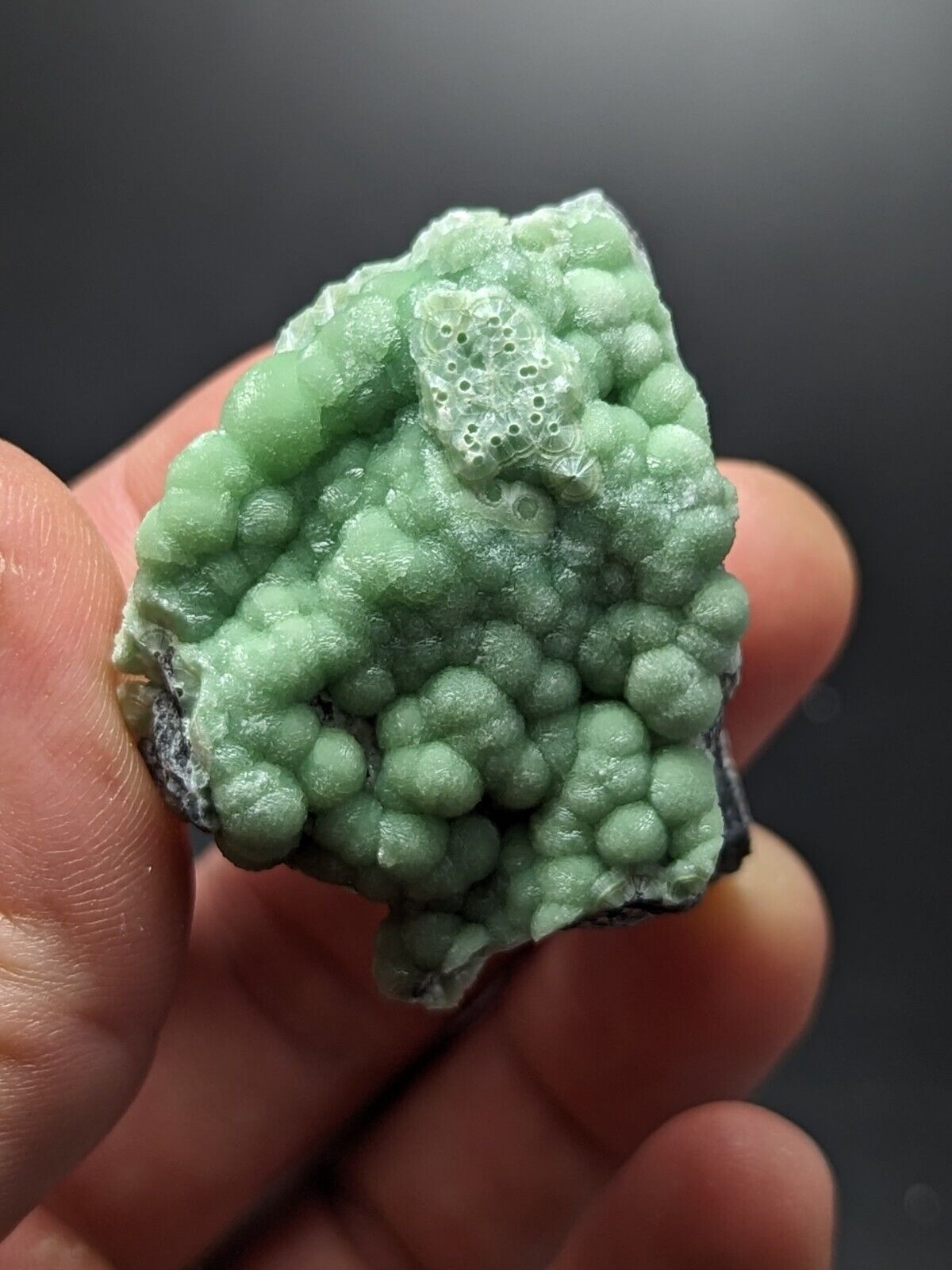 A + Wavellite - Fantastic Old Stock - Mauldin Mountain Arkansas ooak - Collectibles:Rocks Fossils & Minerals:Crystals