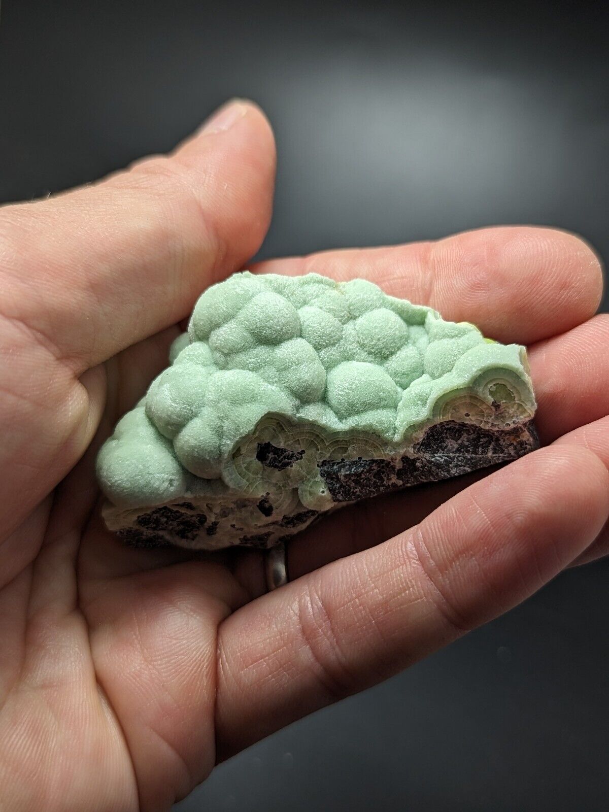 A + Wavellite - Fantastic Old Stock - Mauldin Mountain Arkansas ooak - Collectibles:Rocks Fossils & Minerals:Crystals