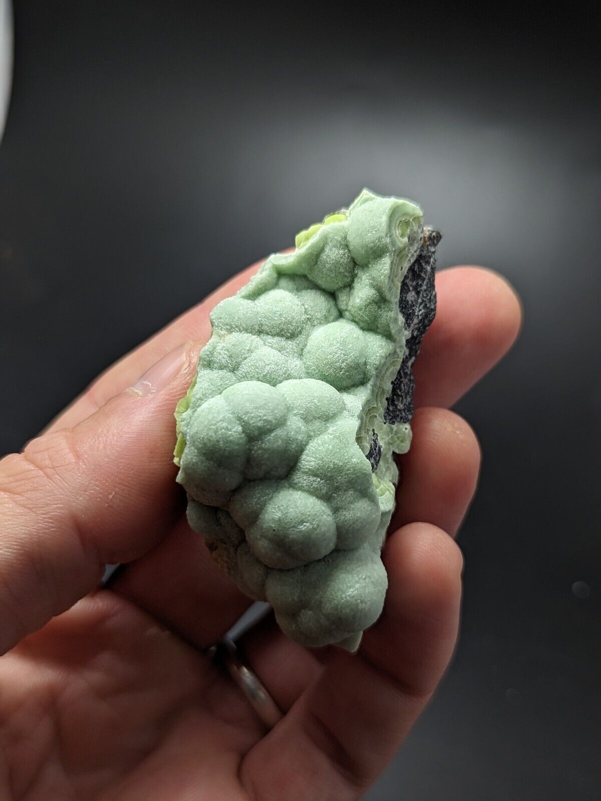 A + Wavellite - Fantastic Old Stock - Mauldin Mountain Arkansas ooak - Collectibles:Rocks Fossils & Minerals:Crystals