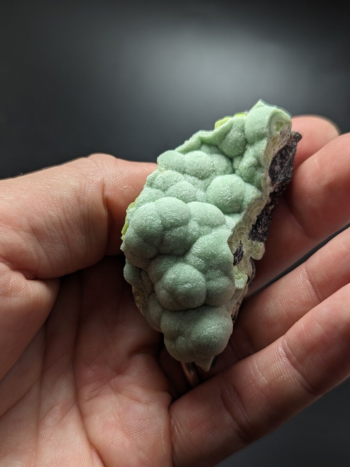 A + Wavellite - Fantastic Old Stock - Mauldin Mountain Arkansas ooak - Collectibles:Rocks Fossils & Minerals:Crystals