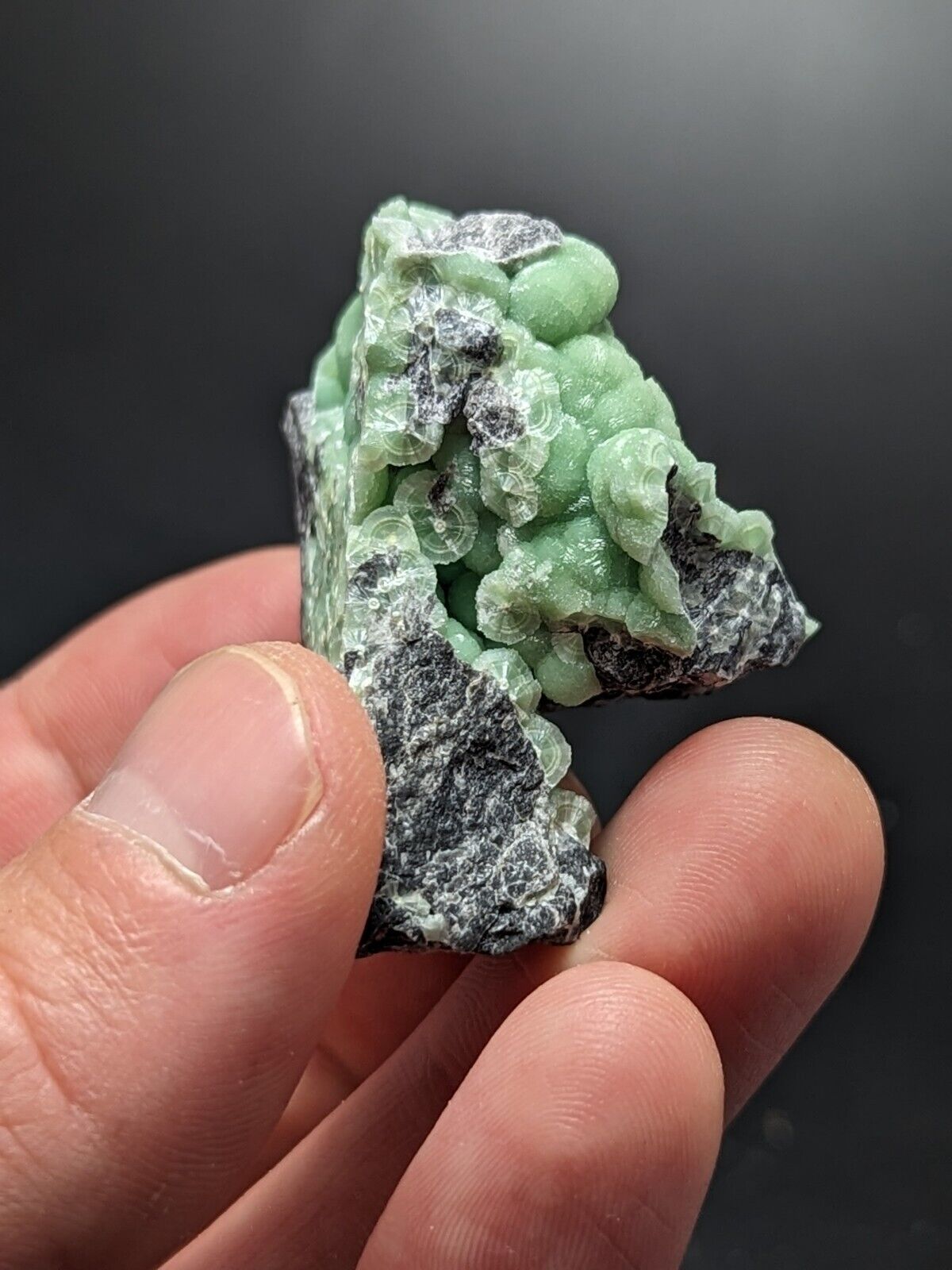 A + Wavellite - Fantastic Old Stock - Mauldin Mountain Arkansas ooak - Collectibles:Rocks Fossils & Minerals:Crystals
