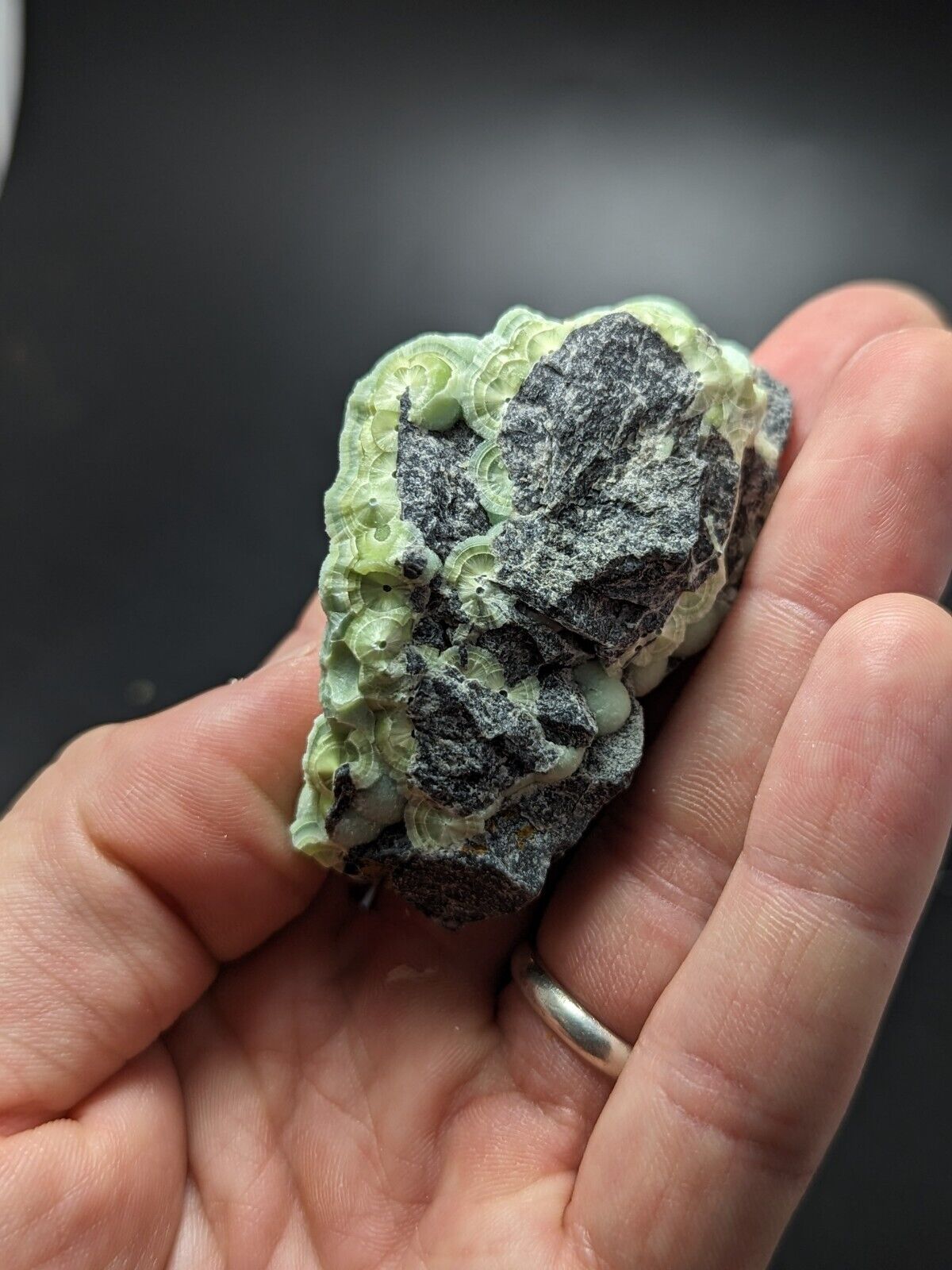 A + Wavellite - Fantastic Old Stock - Mauldin Mountain Arkansas ooak - Collectibles:Rocks Fossils & Minerals:Crystals