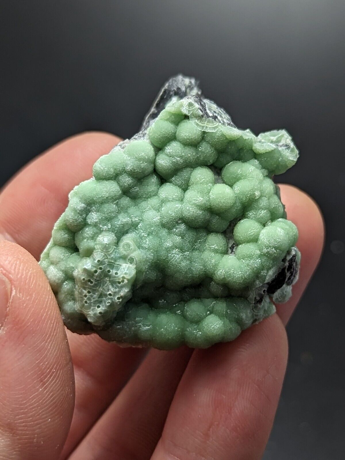 A + Wavellite - Fantastic Old Stock - Mauldin Mountain Arkansas ooak - Collectibles:Rocks Fossils & Minerals:Crystals