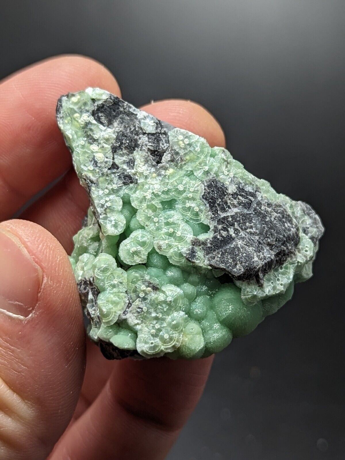 A + Wavellite - Fantastic Old Stock - Mauldin Mountain Arkansas ooak - Collectibles:Rocks Fossils & Minerals:Crystals