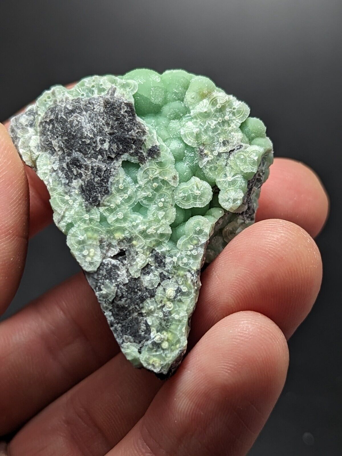 A + Wavellite - Fantastic Old Stock - Mauldin Mountain Arkansas ooak - Collectibles:Rocks Fossils & Minerals:Crystals