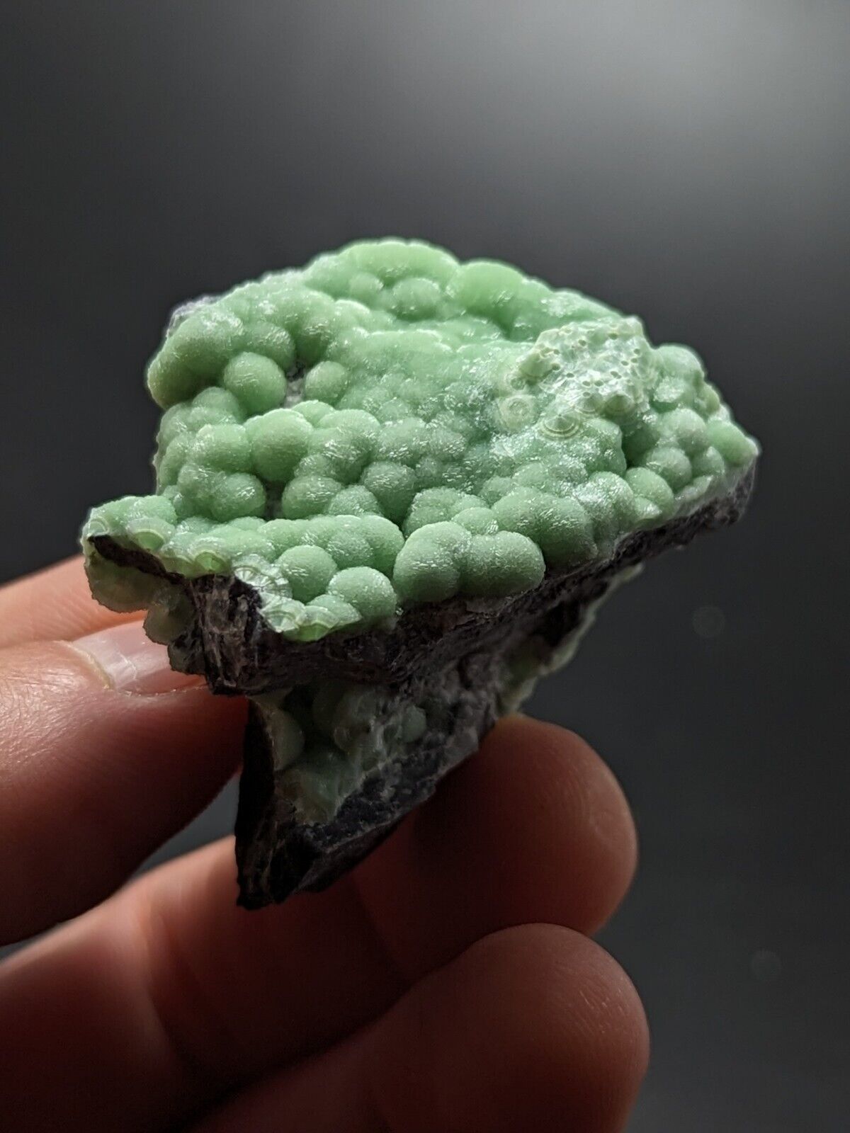 A + Wavellite - Fantastic Old Stock - Mauldin Mountain Arkansas ooak - Collectibles:Rocks Fossils & Minerals:Crystals