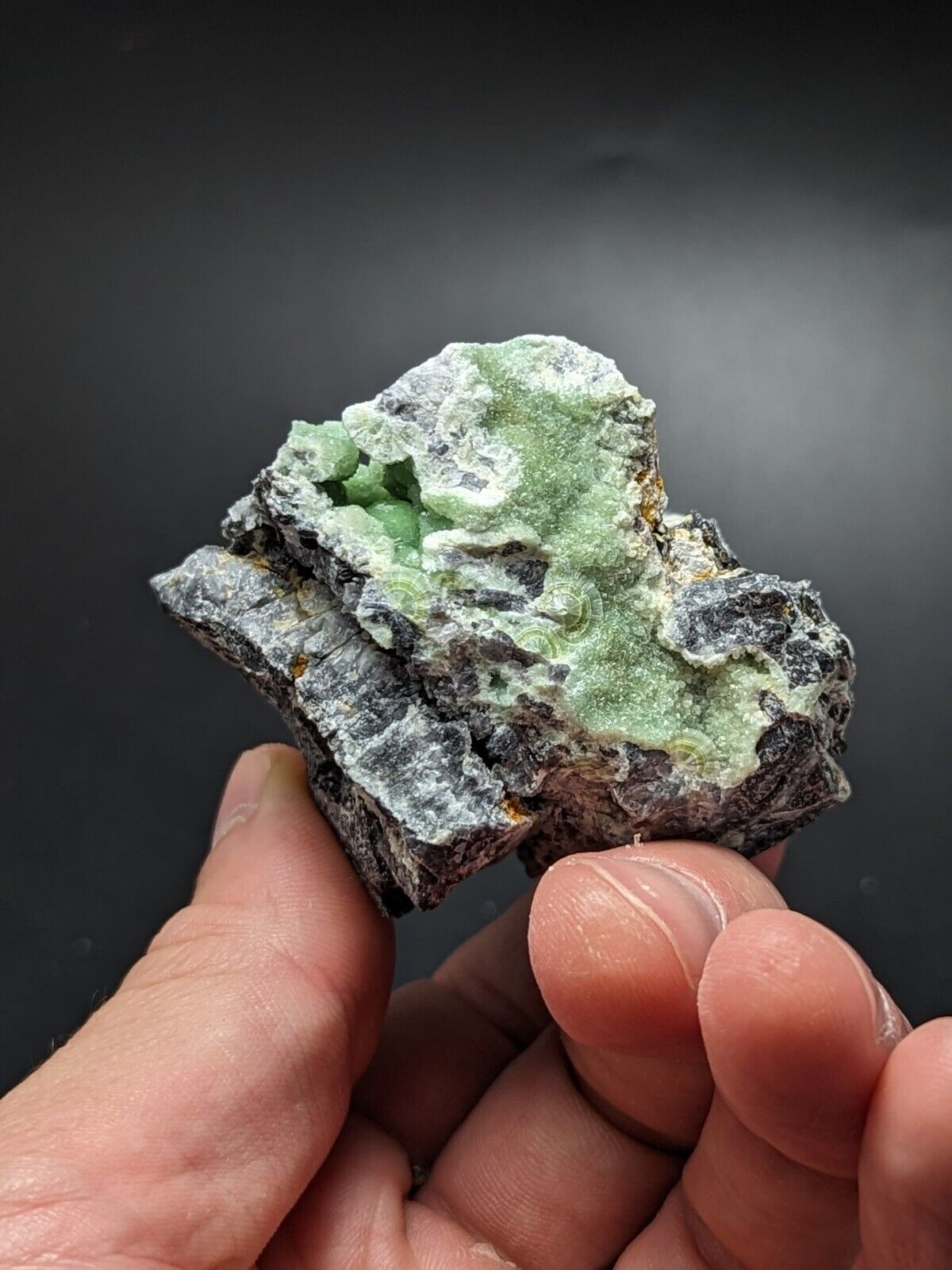 A + Wavellite - Fantastic Old Stock - Mauldin Mountain Arkansas ooak - Collectibles:Rocks Fossils & Minerals:Crystals
