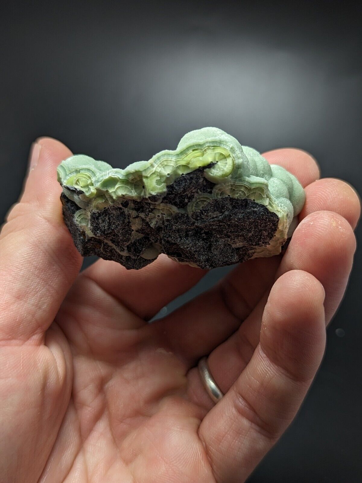 A + Wavellite - Fantastic Old Stock - Mauldin Mountain Arkansas ooak - Collectibles:Rocks Fossils & Minerals:Crystals