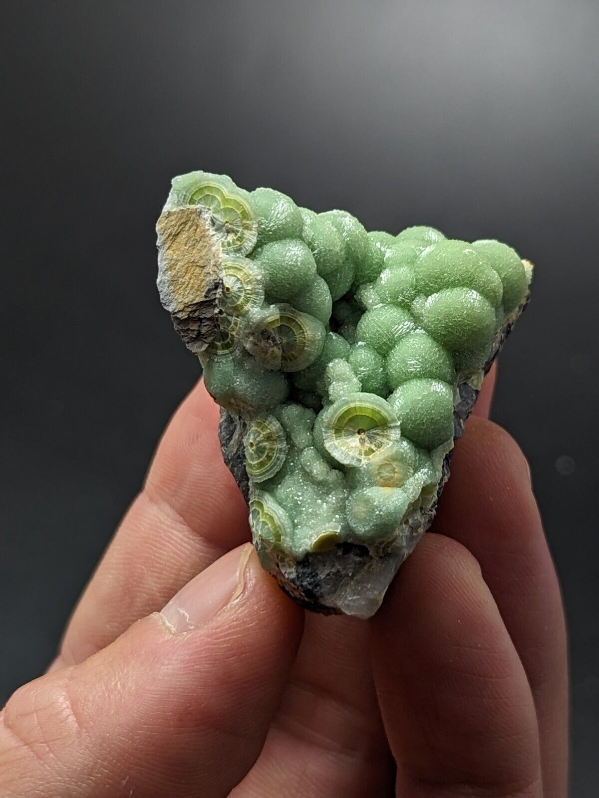 A + + + Wavellite - Fantastic Old Stock - Mauldin Mountain Arkansas ooak - Collectibles:Rocks Fossils &