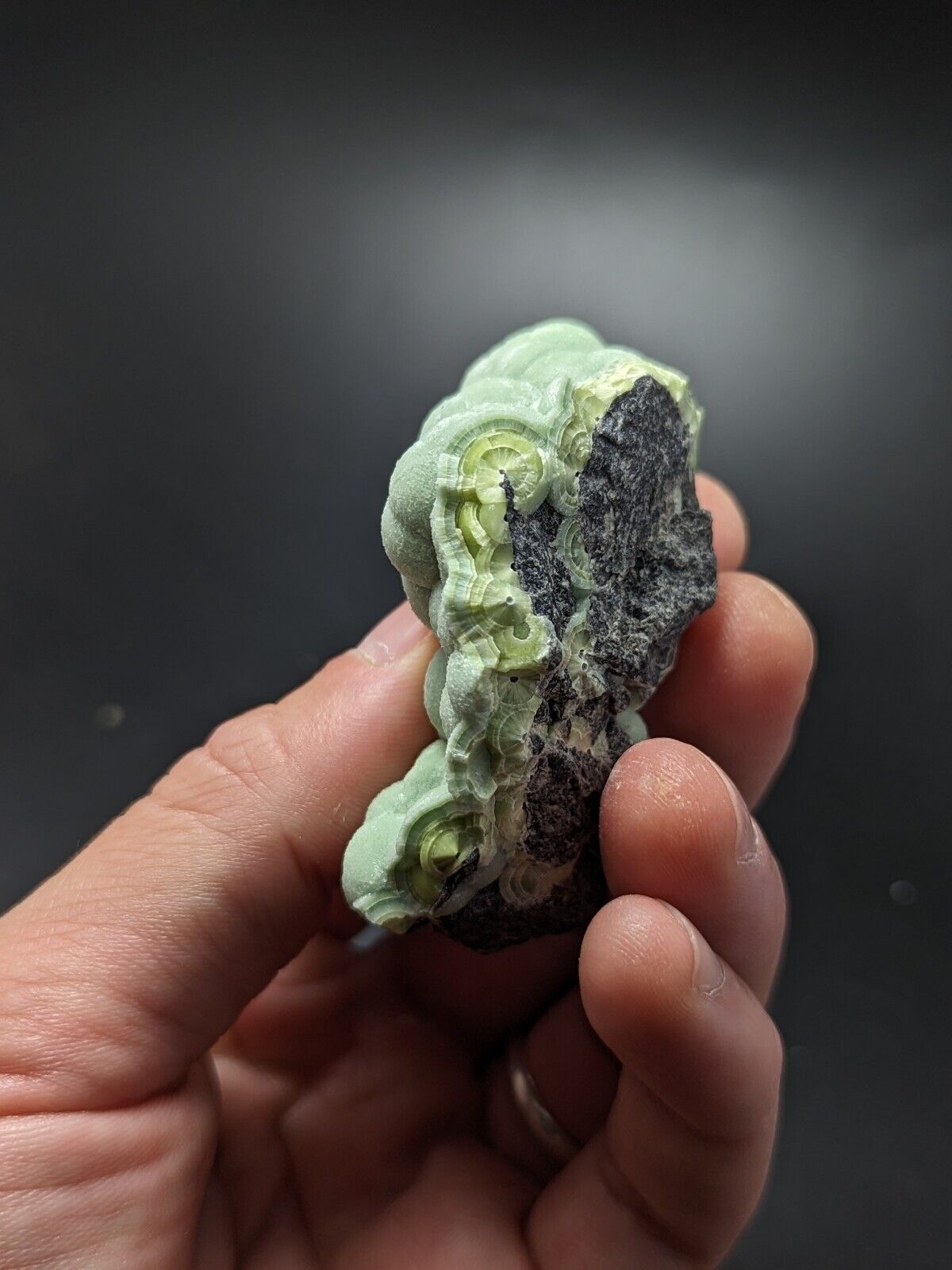 A + Wavellite - Fantastic Old Stock - Mauldin Mountain Arkansas ooak - Collectibles:Rocks Fossils & Minerals:Crystals