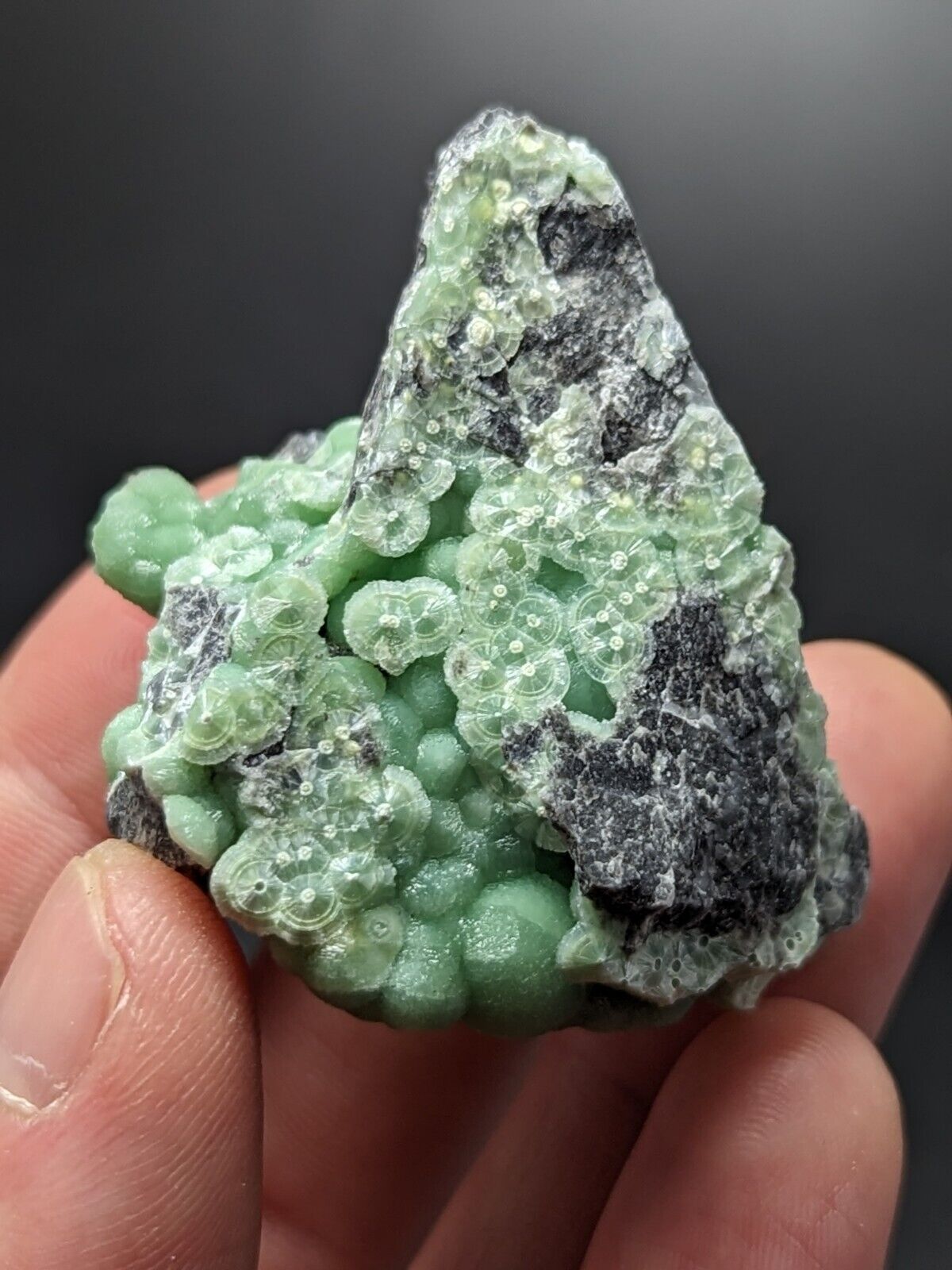 A + Wavellite - Fantastic Old Stock - Mauldin Mountain Arkansas ooak - Collectibles:Rocks Fossils & Minerals:Crystals