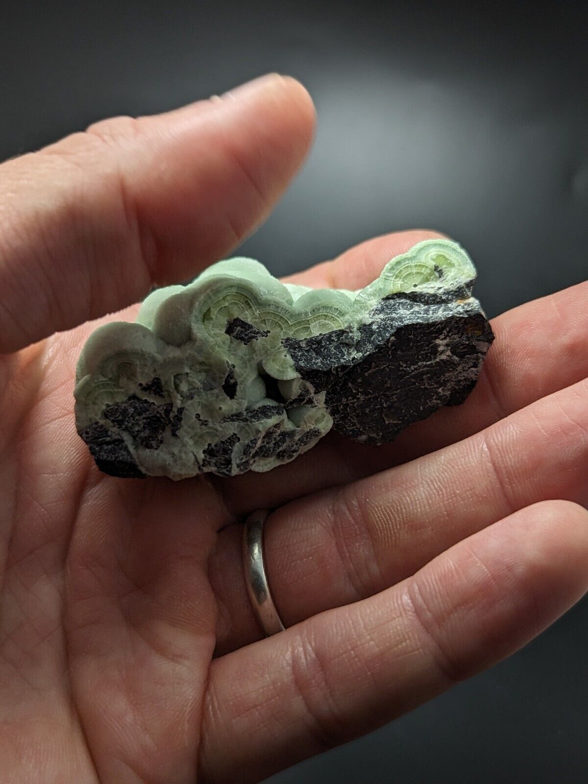 A + Wavellite - Fantastic Old Stock - Mauldin Mountain Arkansas ooak - Collectibles:Rocks Fossils & Minerals:Crystals