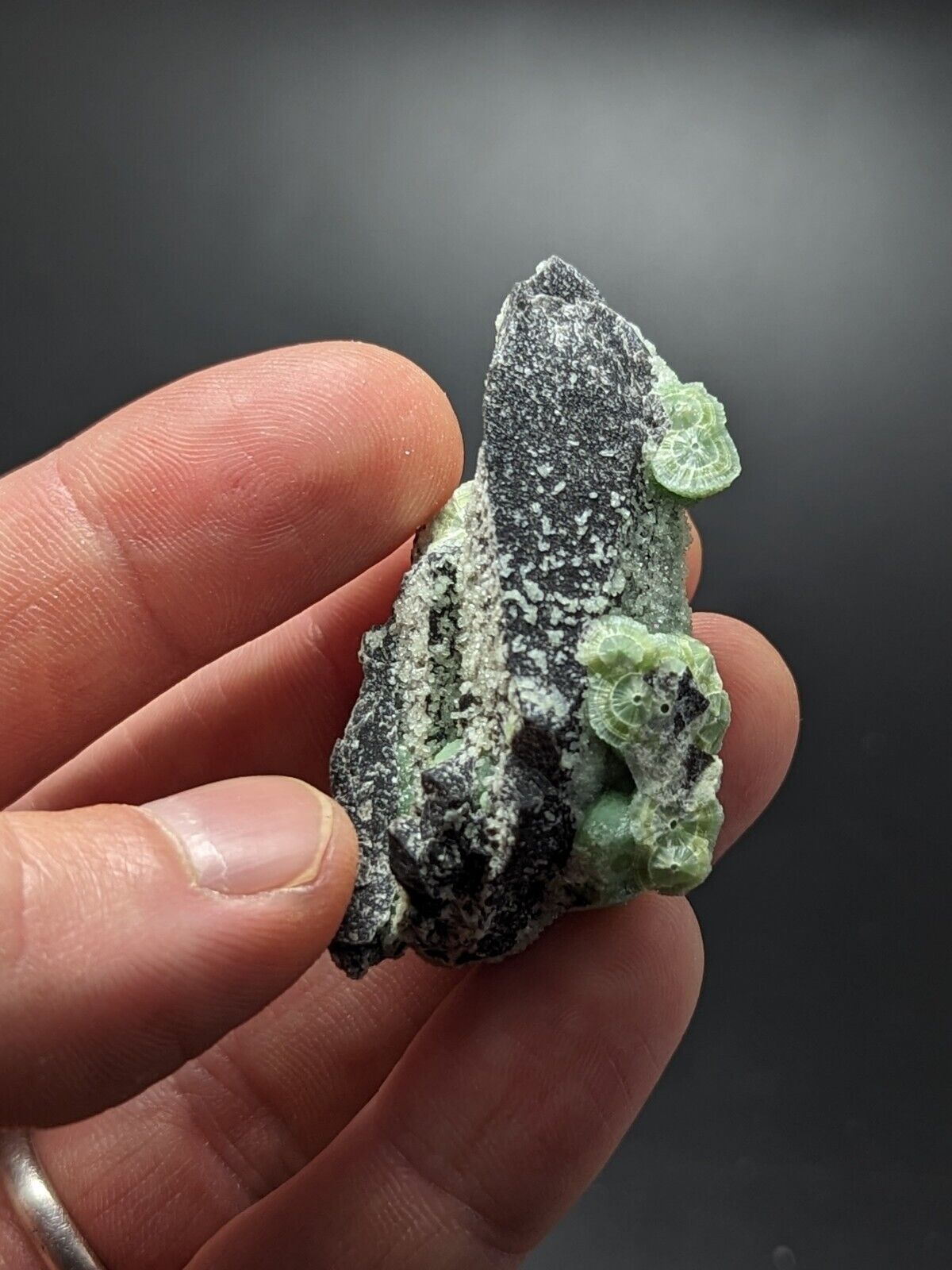 A + + + Wavellite - Phenomenal Old Stock - Mauldin Mountain Arkansas ooak - Collectibles:Rocks Fossils &