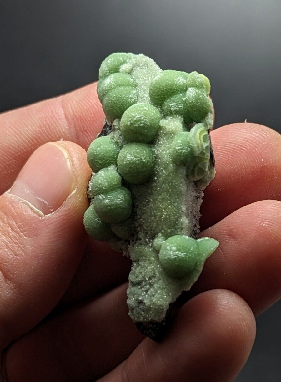 A + + + Wavellite - Phenomenal Old Stock - Mauldin Mountain Arkansas ooak - Collectibles:Rocks Fossils &