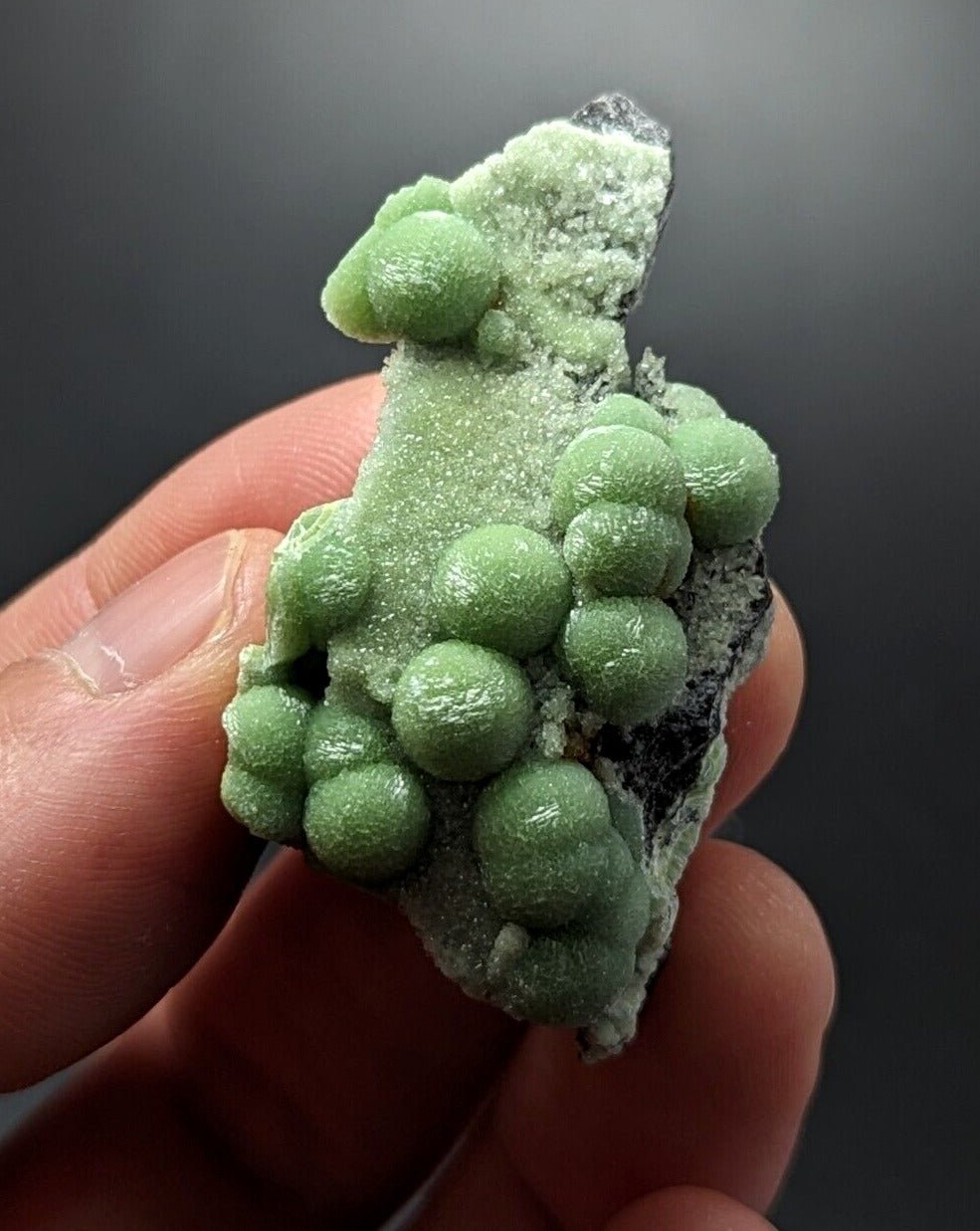 A + + + Wavellite - Phenomenal Old Stock - Mauldin Mountain Arkansas ooak - Collectibles:Rocks Fossils &