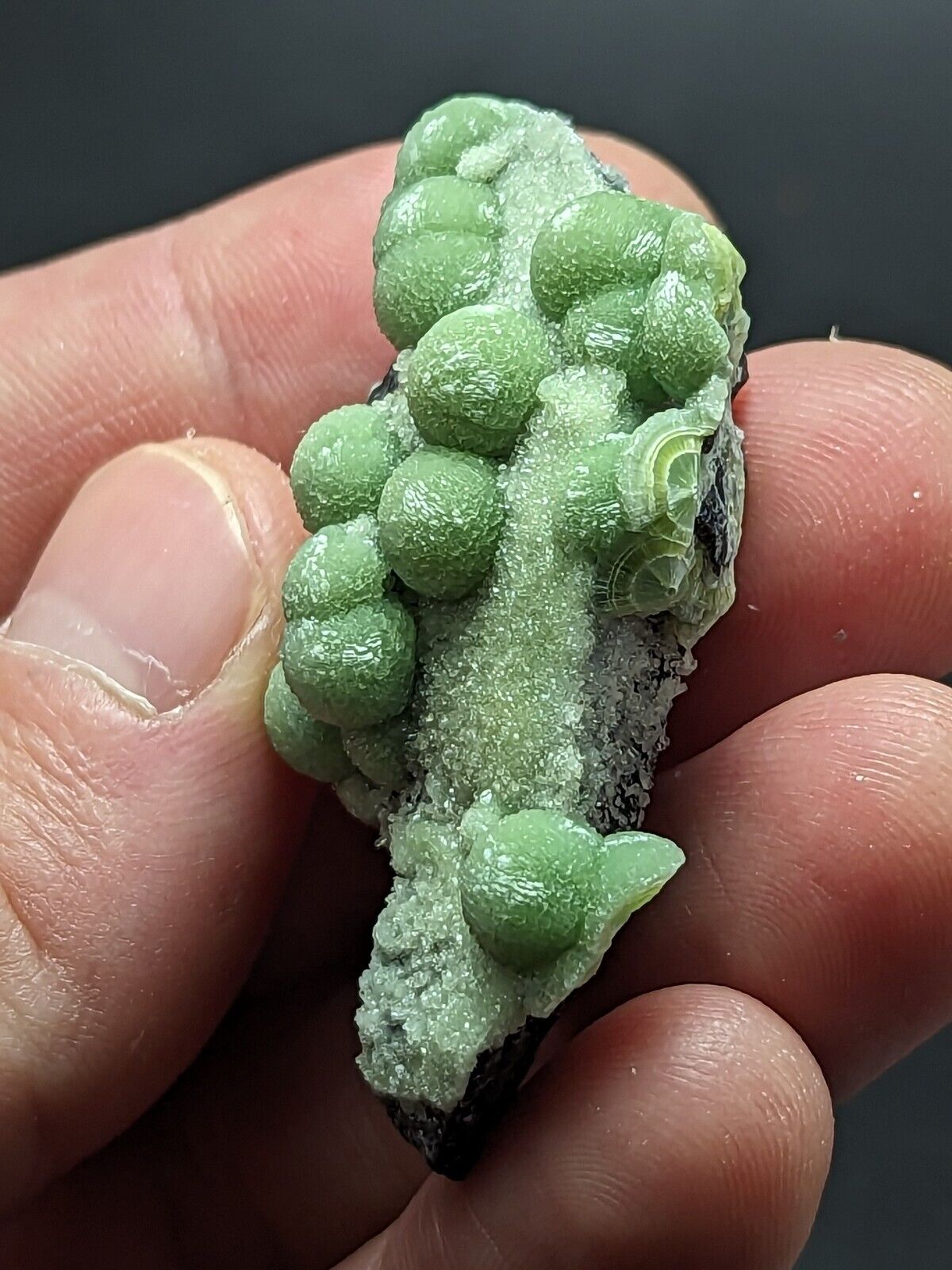 A + + + Wavellite - Phenomenal Old Stock - Mauldin Mountain Arkansas ooak - Collectibles:Rocks Fossils &