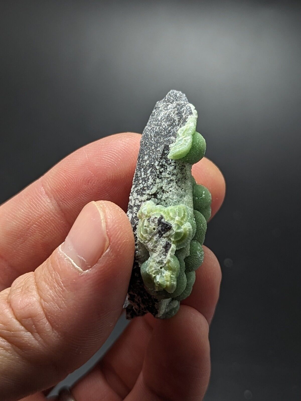 A + + + Wavellite - Phenomenal Old Stock - Mauldin Mountain Arkansas ooak - Collectibles:Rocks Fossils &