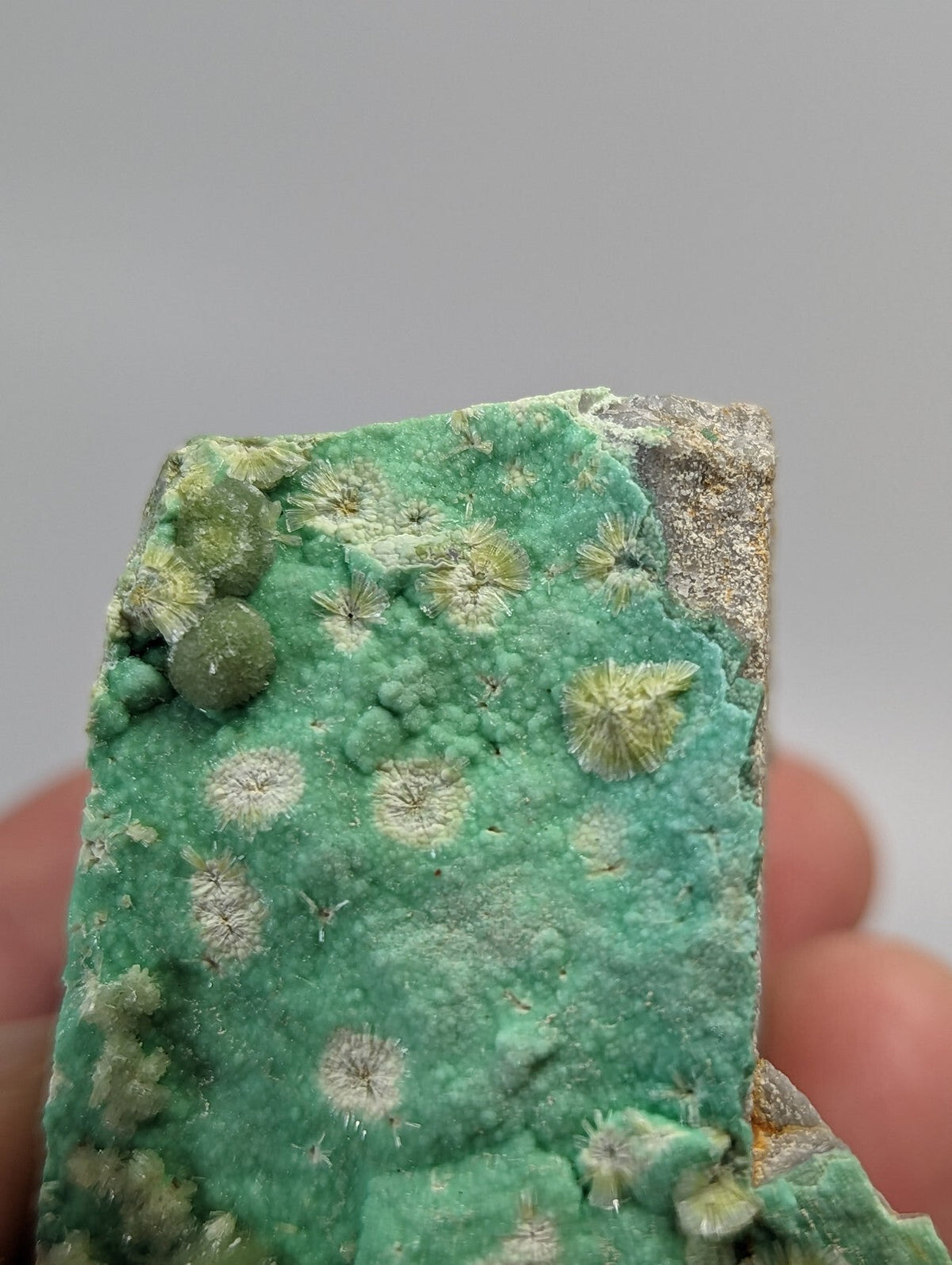 A vibrant green mineral specimen featuring intricate, star-like crystalline formations and patches of lighter, almost white veining.