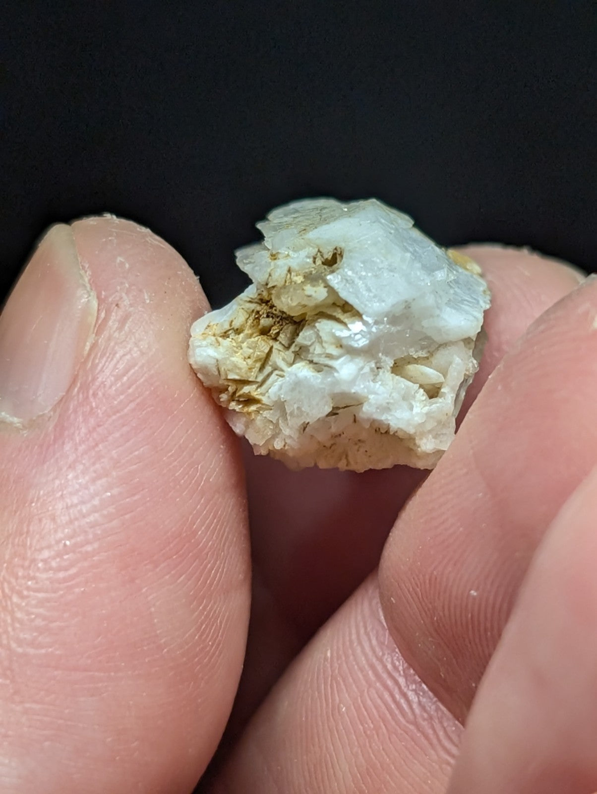 A translucent white mineral specimen with crystalline facets and embedded golden-brown inclusions, held delicately between fingers.
