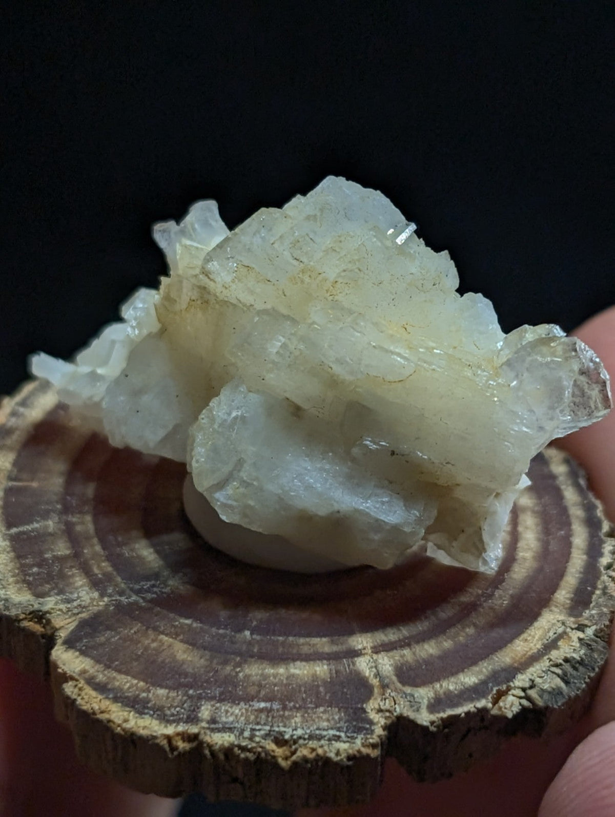A translucent, pale yellowish-white mineral specimen with crystalline formations rests on a circular wooden slice.