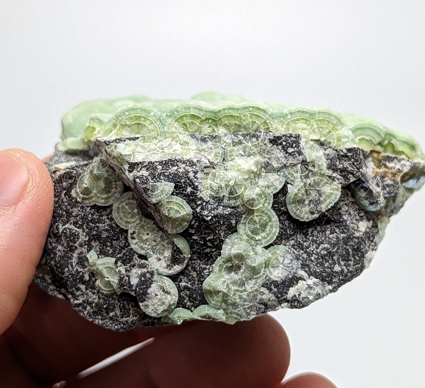 Amazing A + Wavellite - Fantastic 1990s Old Stock - Mauldin Mountain Arkansas - Collectibles:Rocks Fossils &